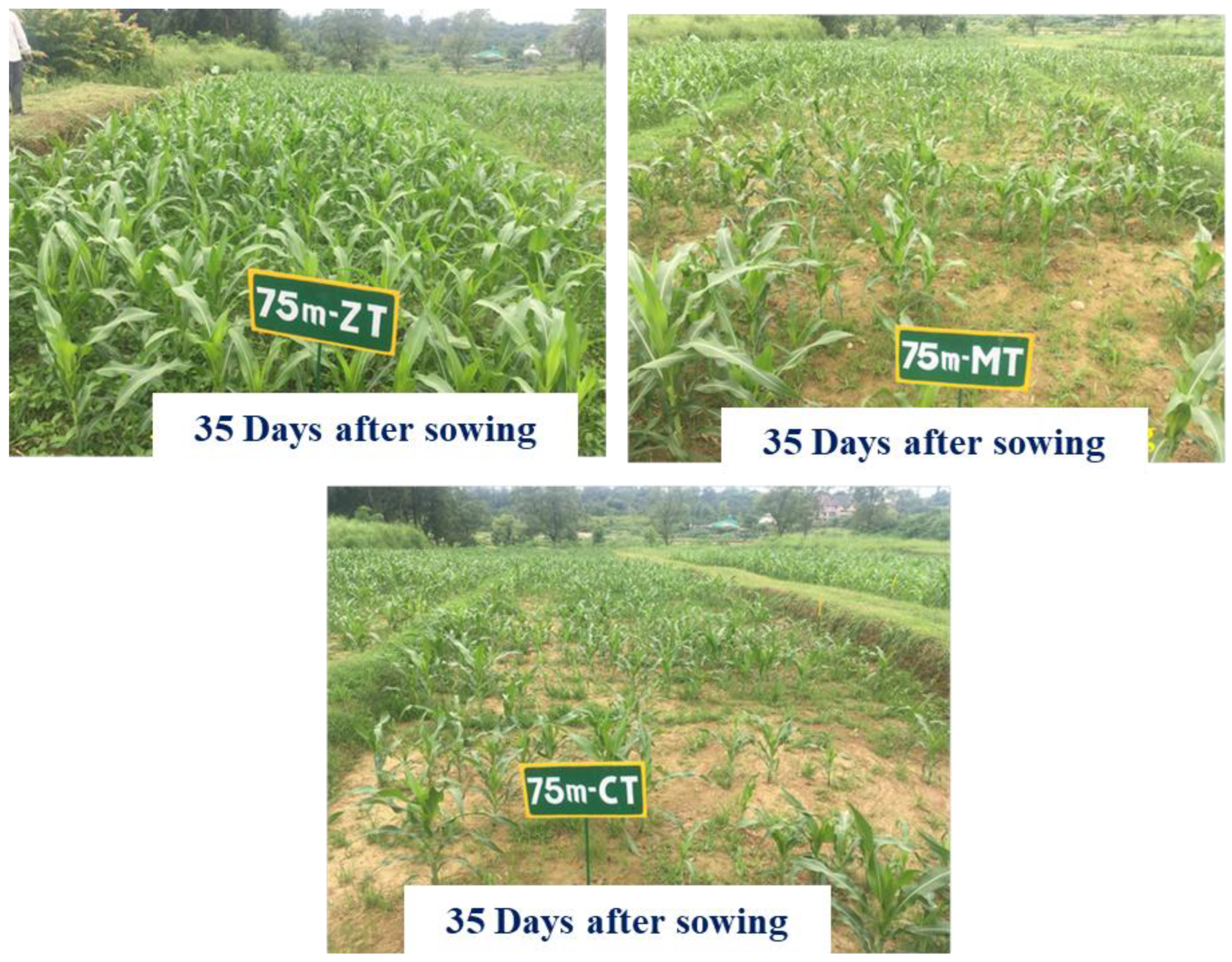 Sustainability 15 08285 g002