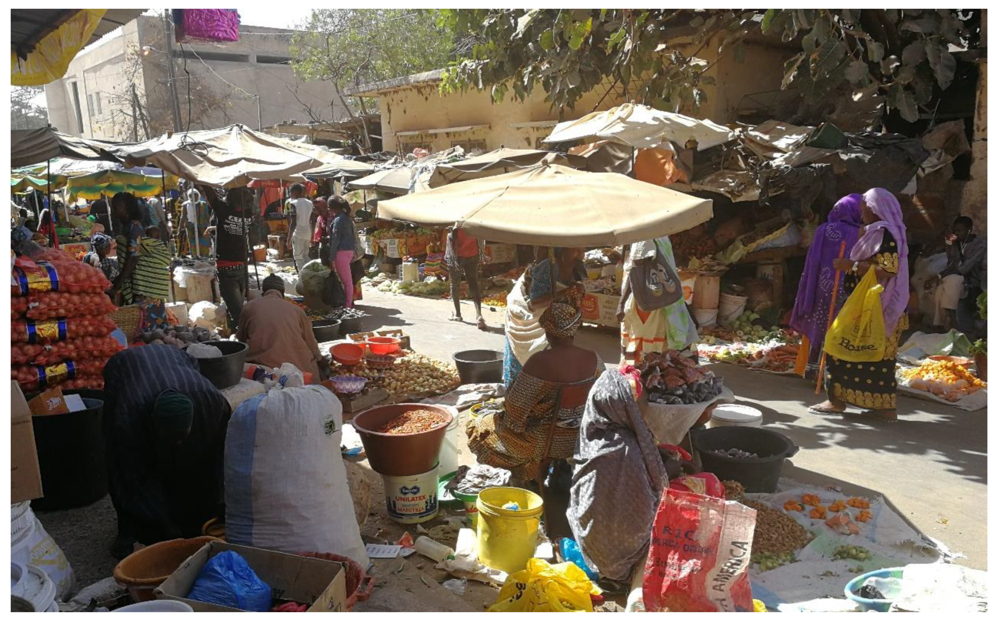 Sustainability 15 08324 g002