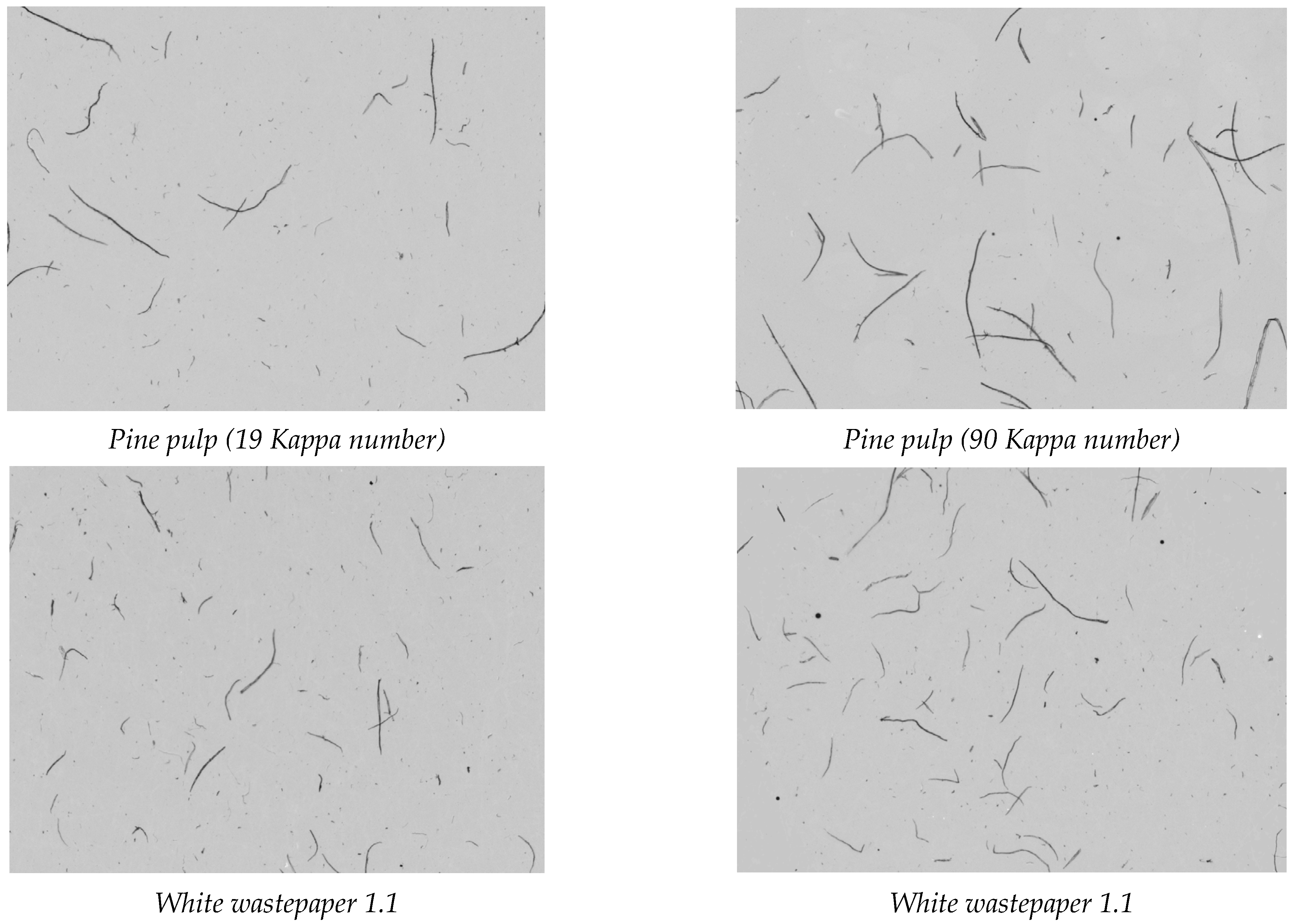 Sustainability 15 08334 g001a Sustainability 15 08334 g001a