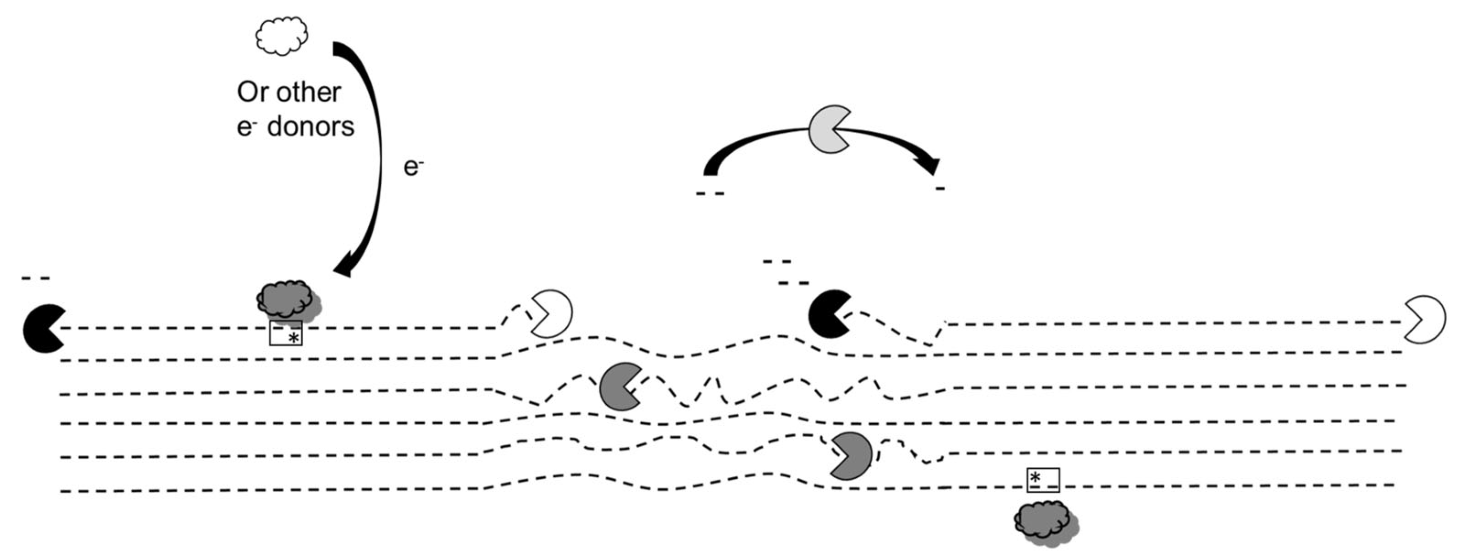 Sustainability 15 08343 g002