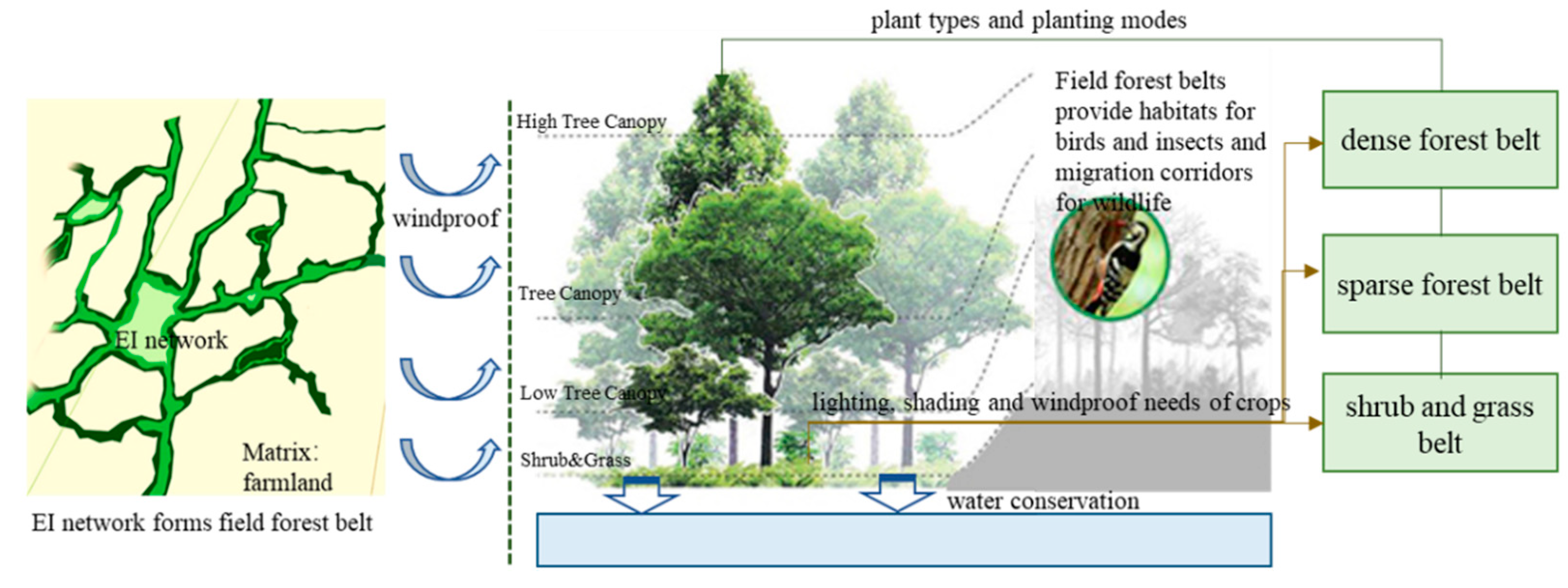 Sustainability 15 08478 g011