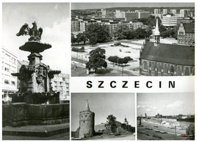 Sustainability 15 08648 i014