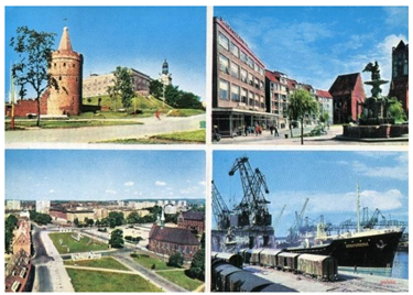 Sustainability 15 08648 i015