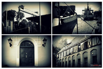 Sustainability 15 08648 i034