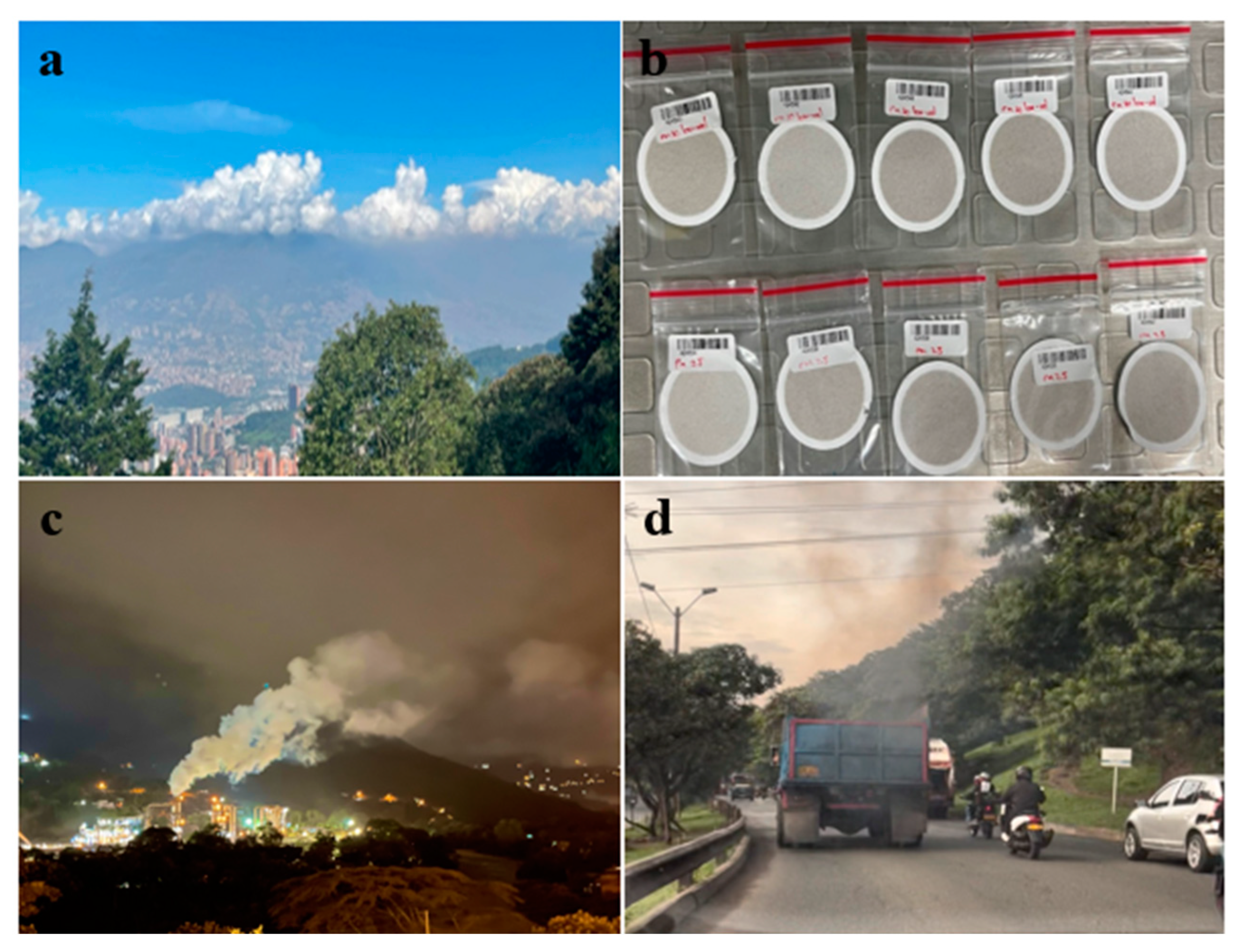 Sustainability 15 08717 g001