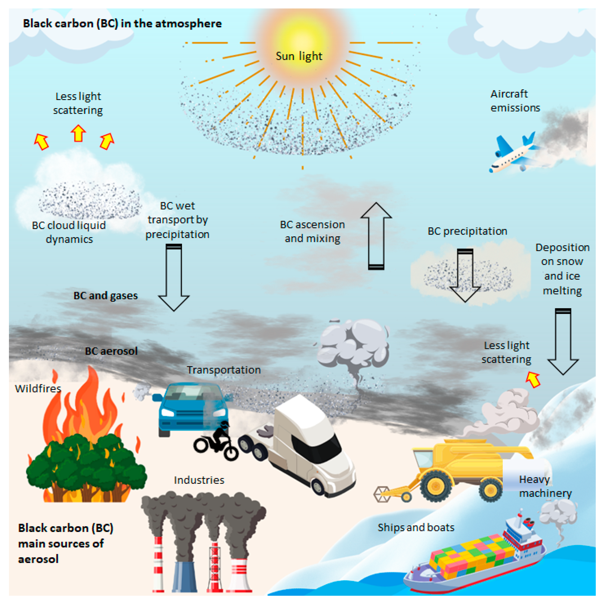 Sustainability 15 08717 g005