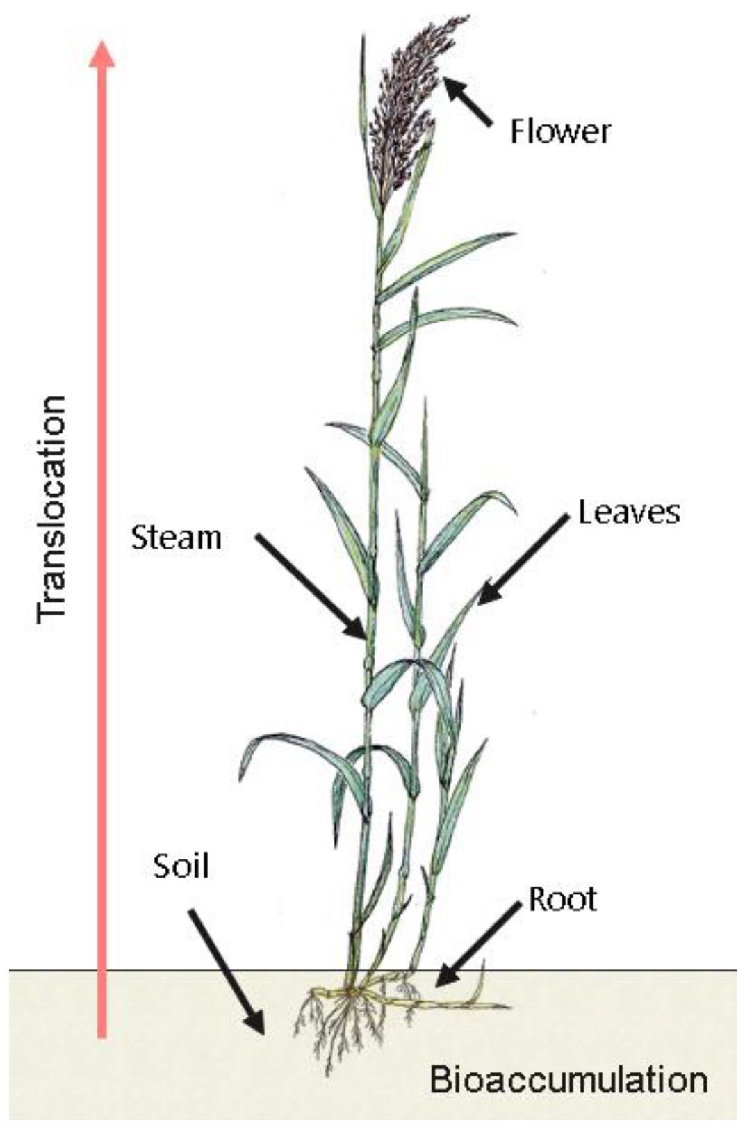 Sustainability 15 08729 g002