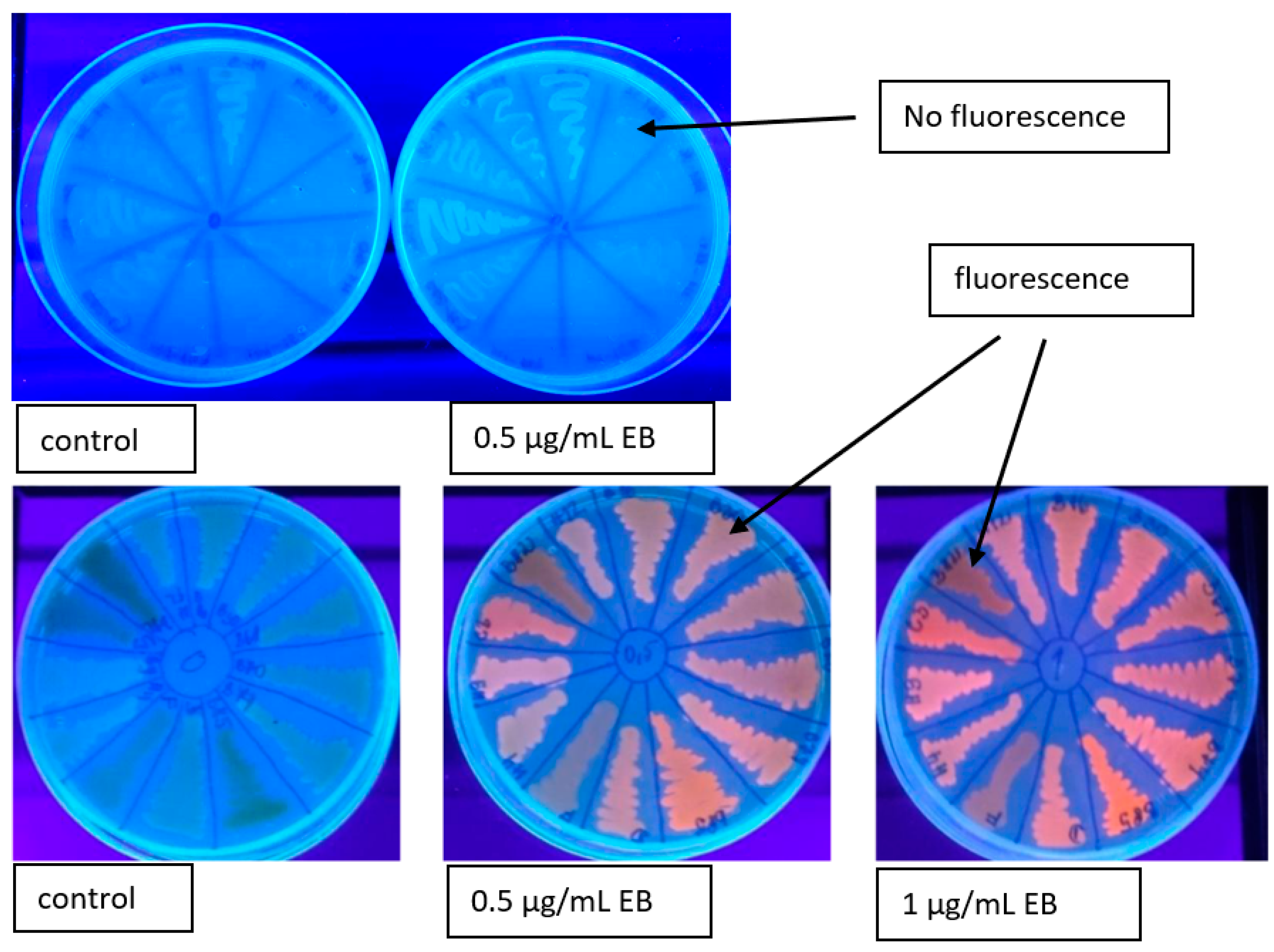 Sustainability 15 08767 g002