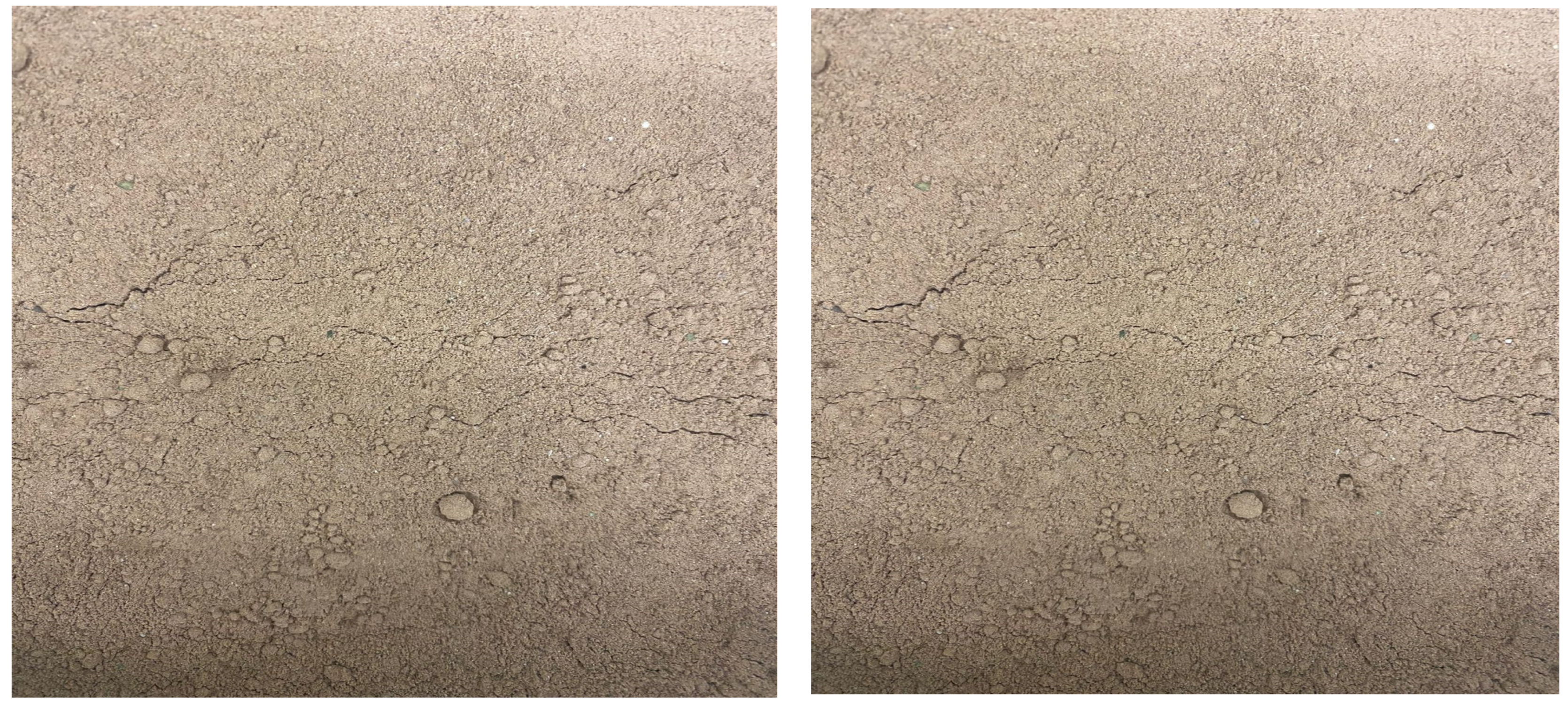 Sustainability 15 08776 g003