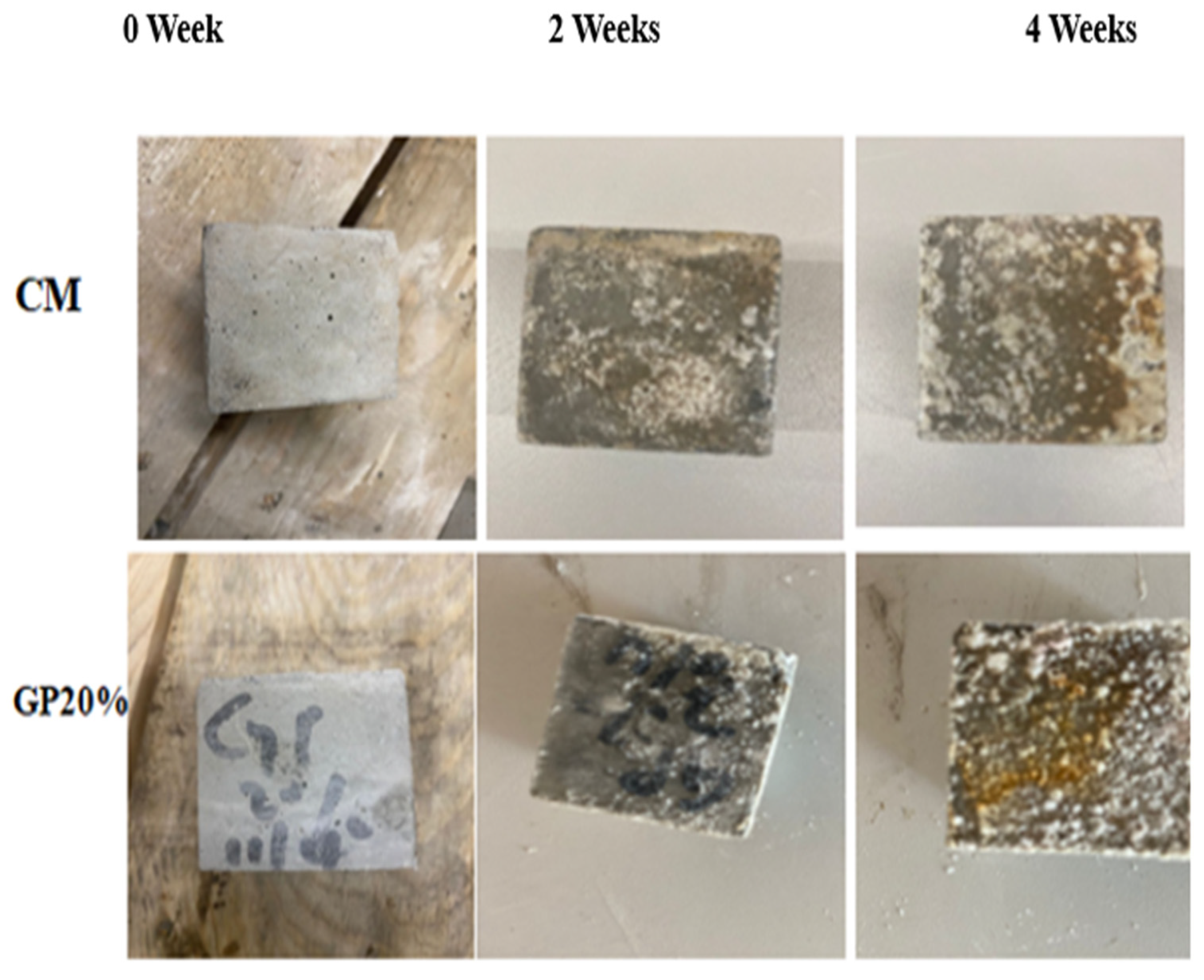 Sustainability 15 08776 g025