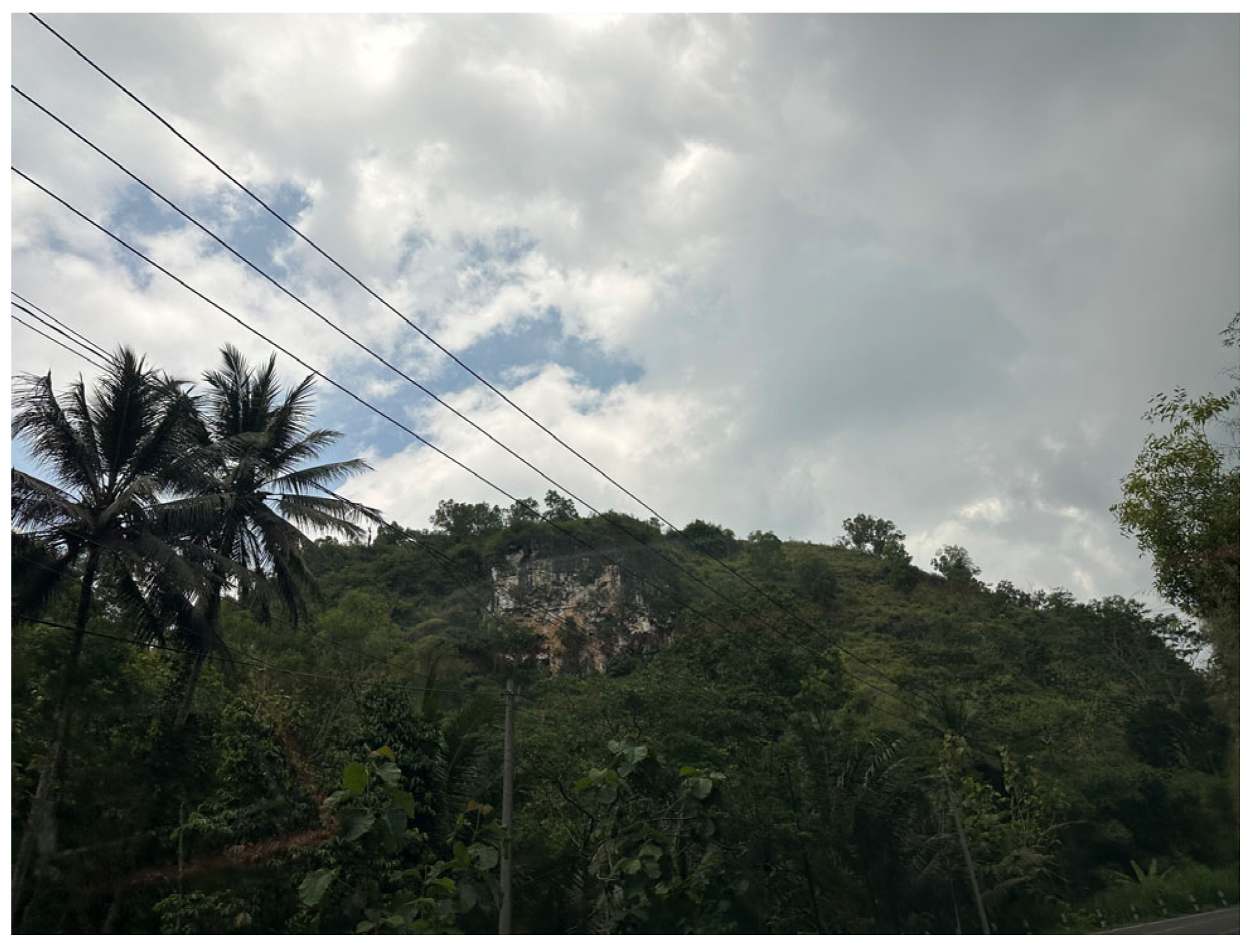 Sustainability 15 08782 g003