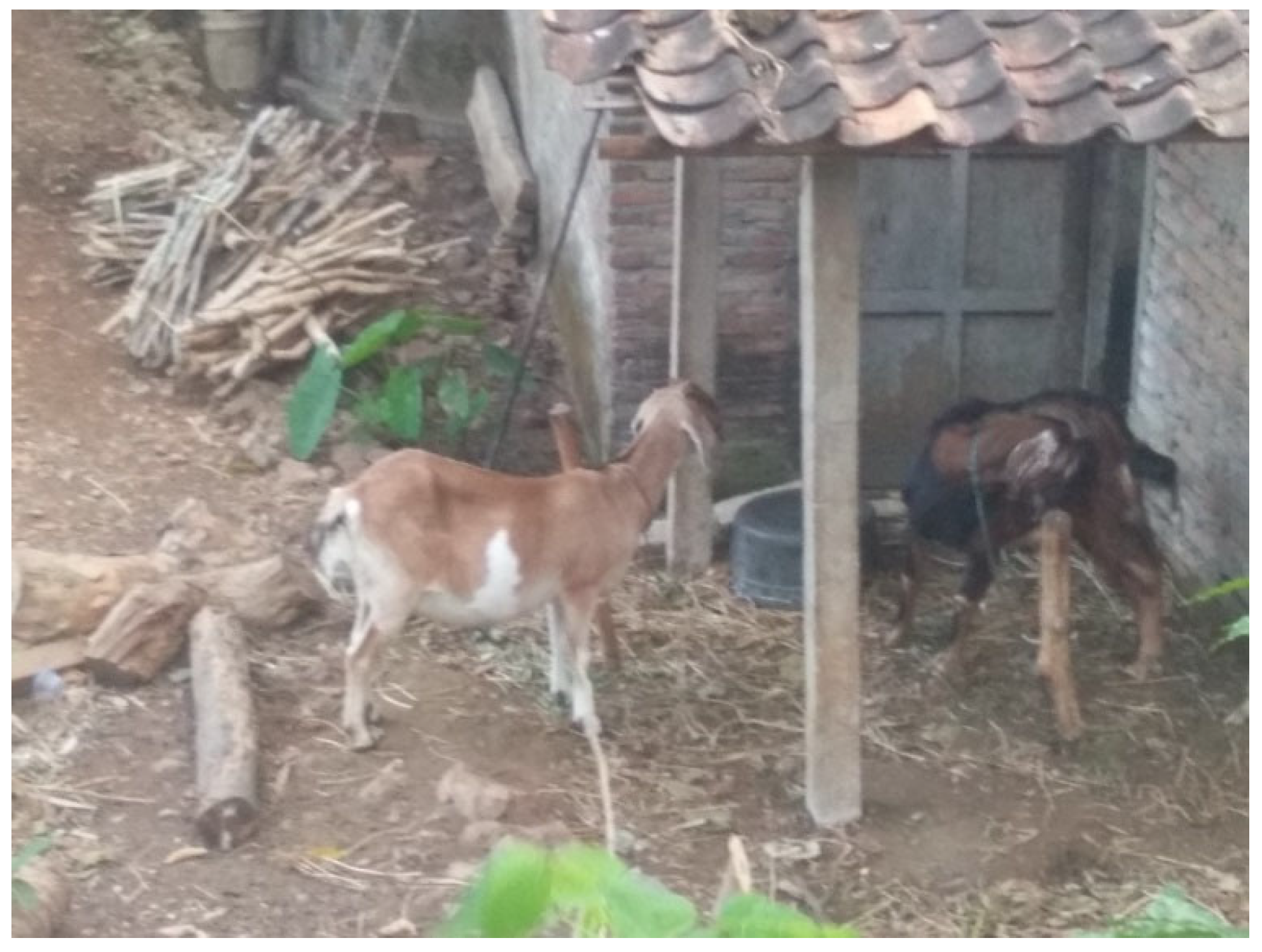 Sustainability 15 08782 g006