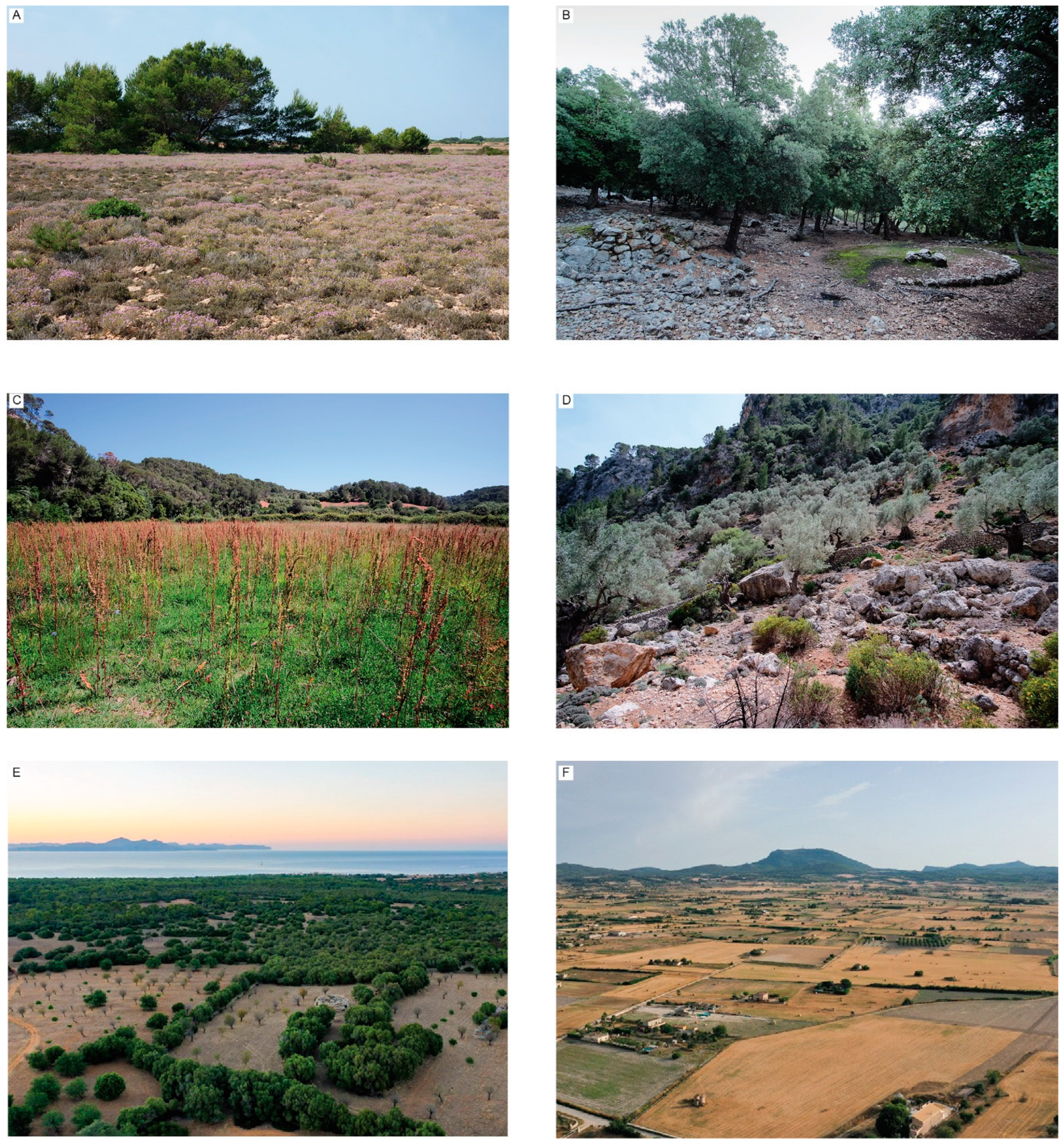 Sustainability 15 08807 g002