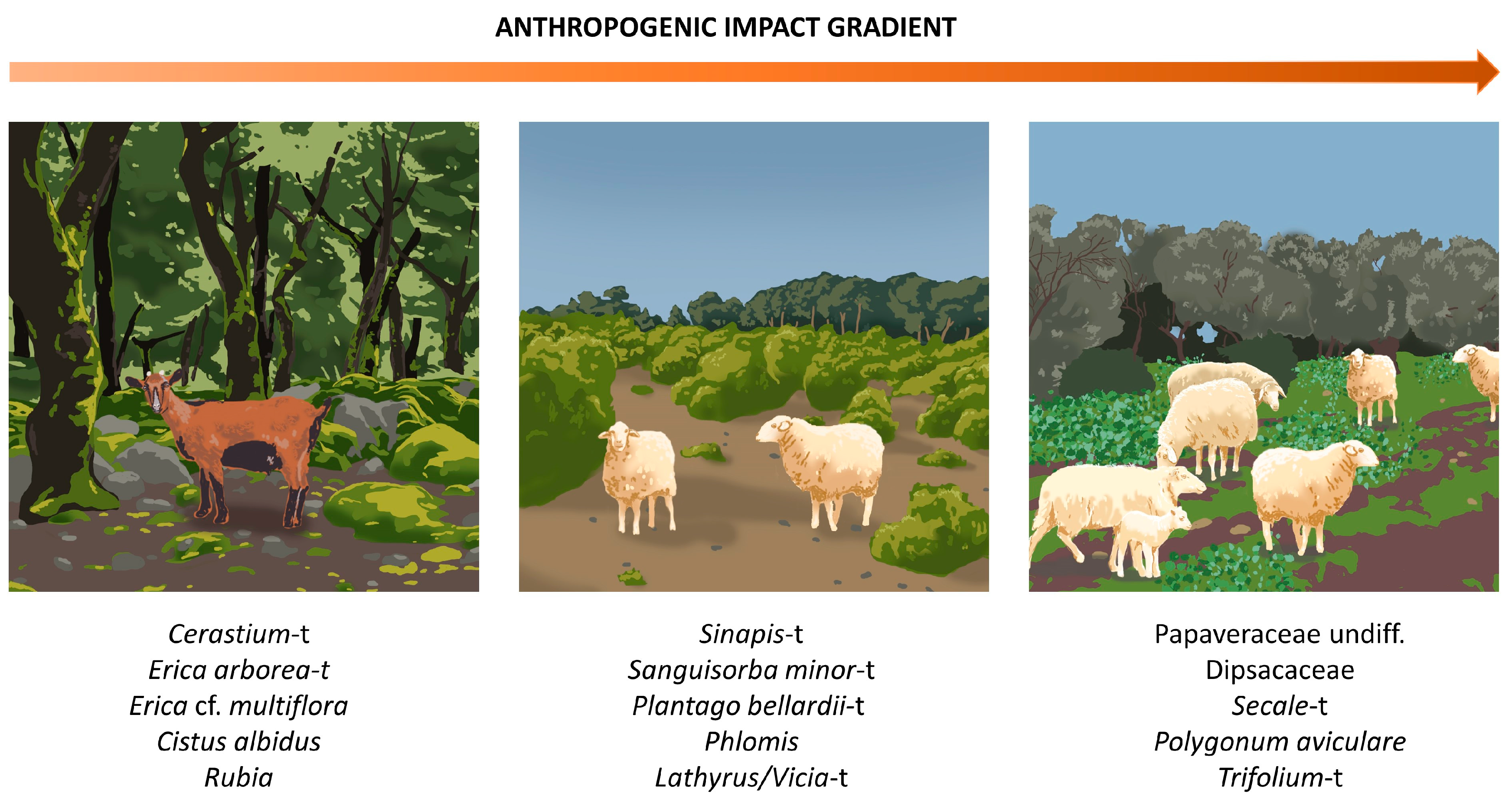 Sustainability 15 08807 g006