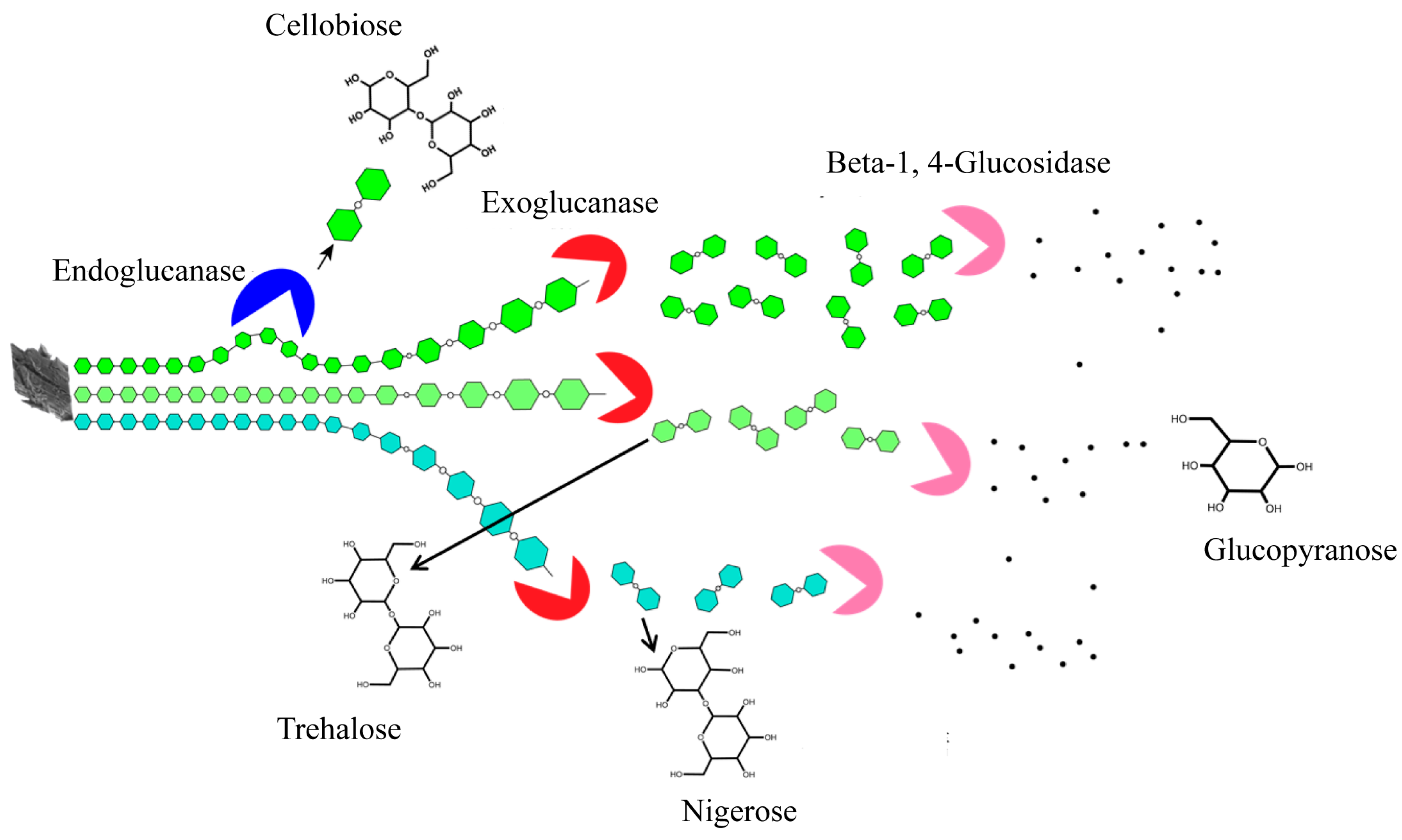 Sustainability 15 08818 g005