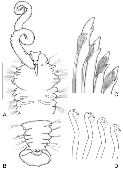 Sustainability 15 08946 g002