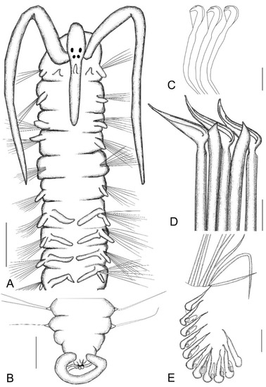 Sustainability 15 08946 g003