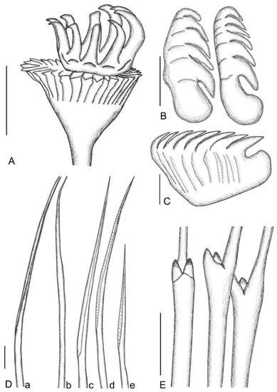 Sustainability 15 08946 g004