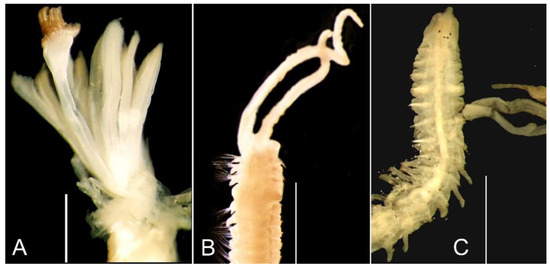 Sustainability 15 08946 g005