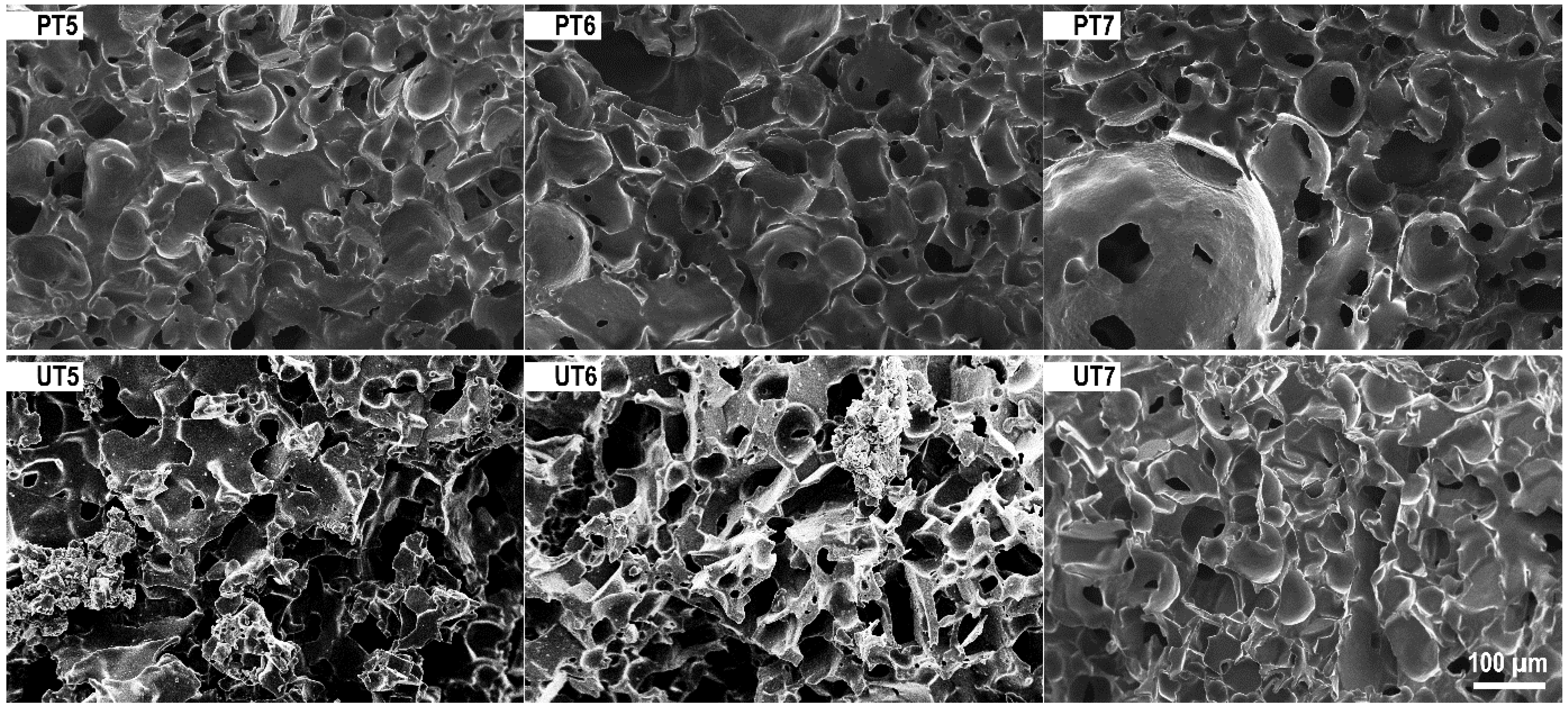 Sustainability 15 08975 g004