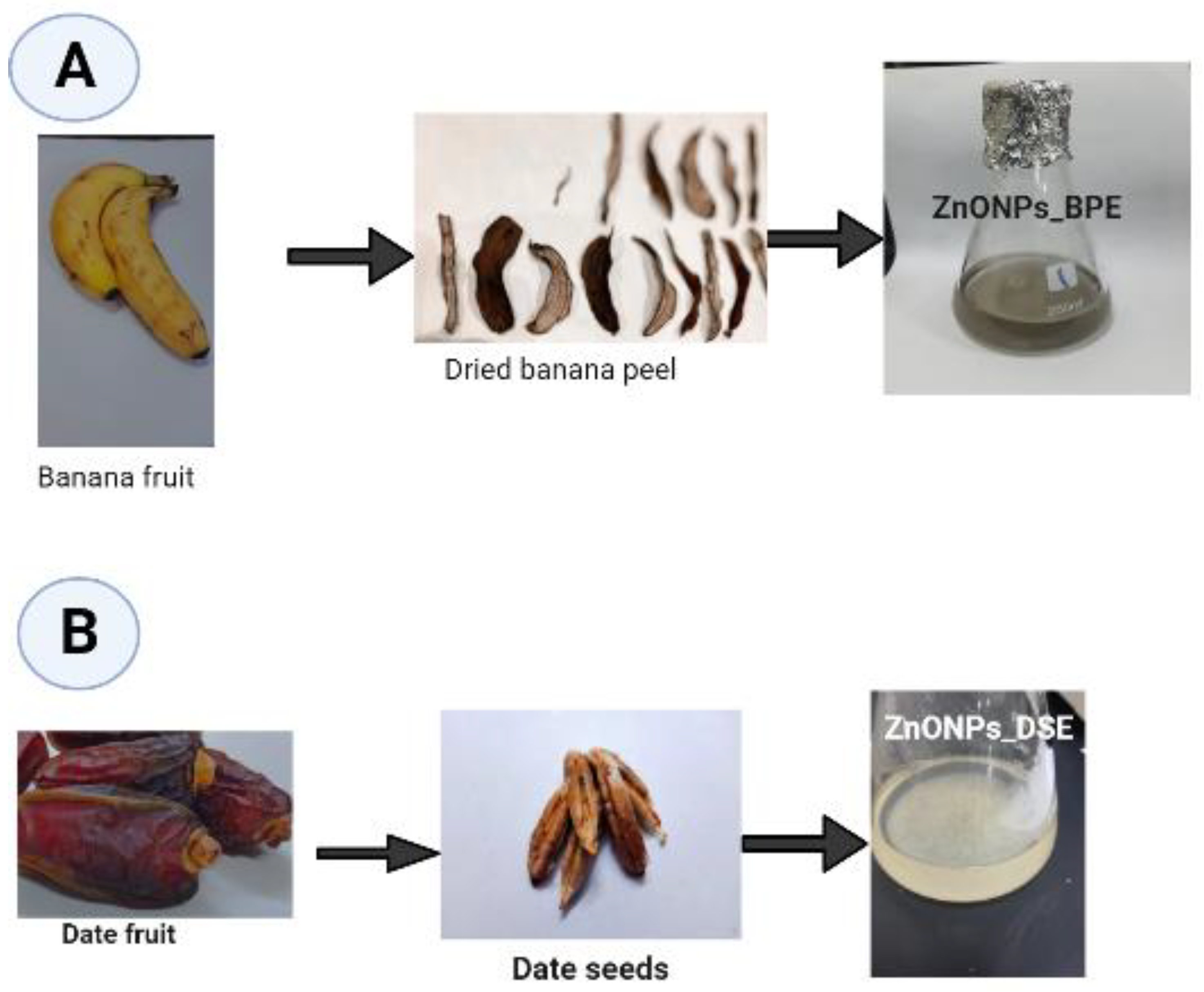 Sustainability 15 09048 g001