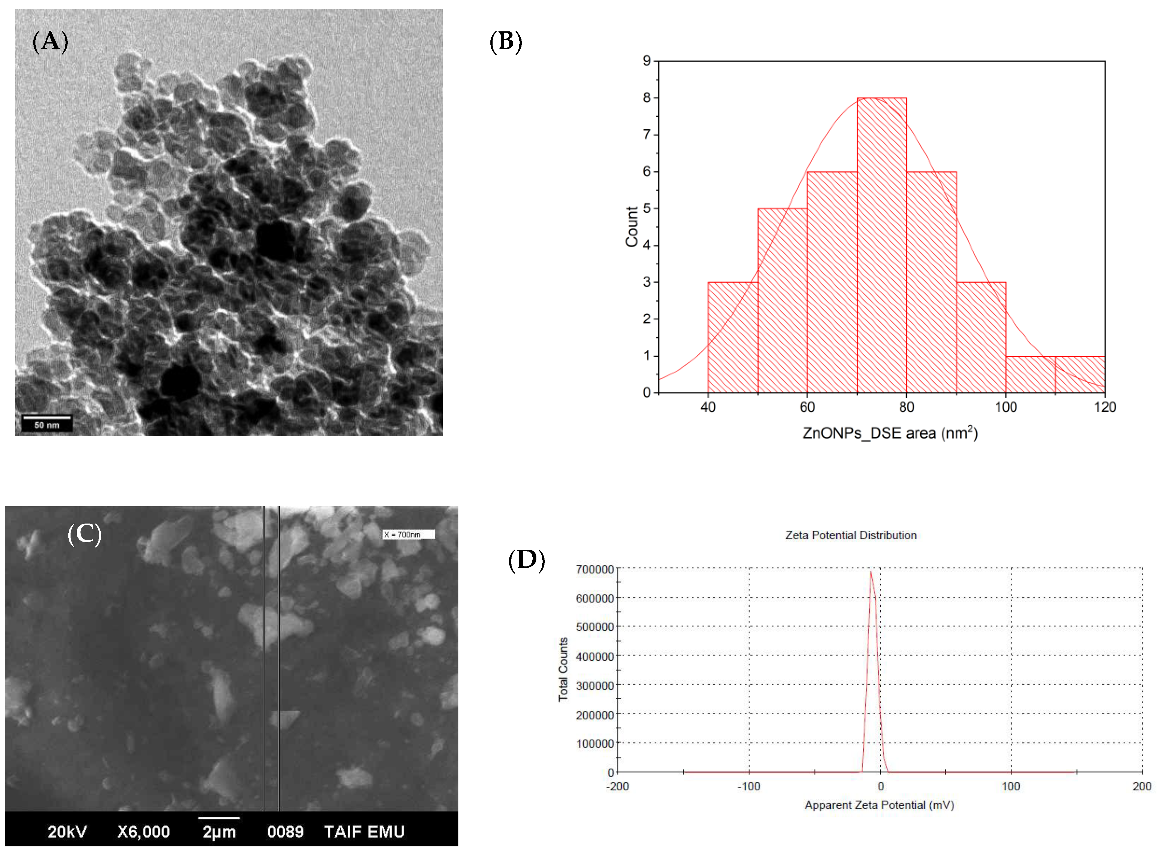 Sustainability 15 09048 g004