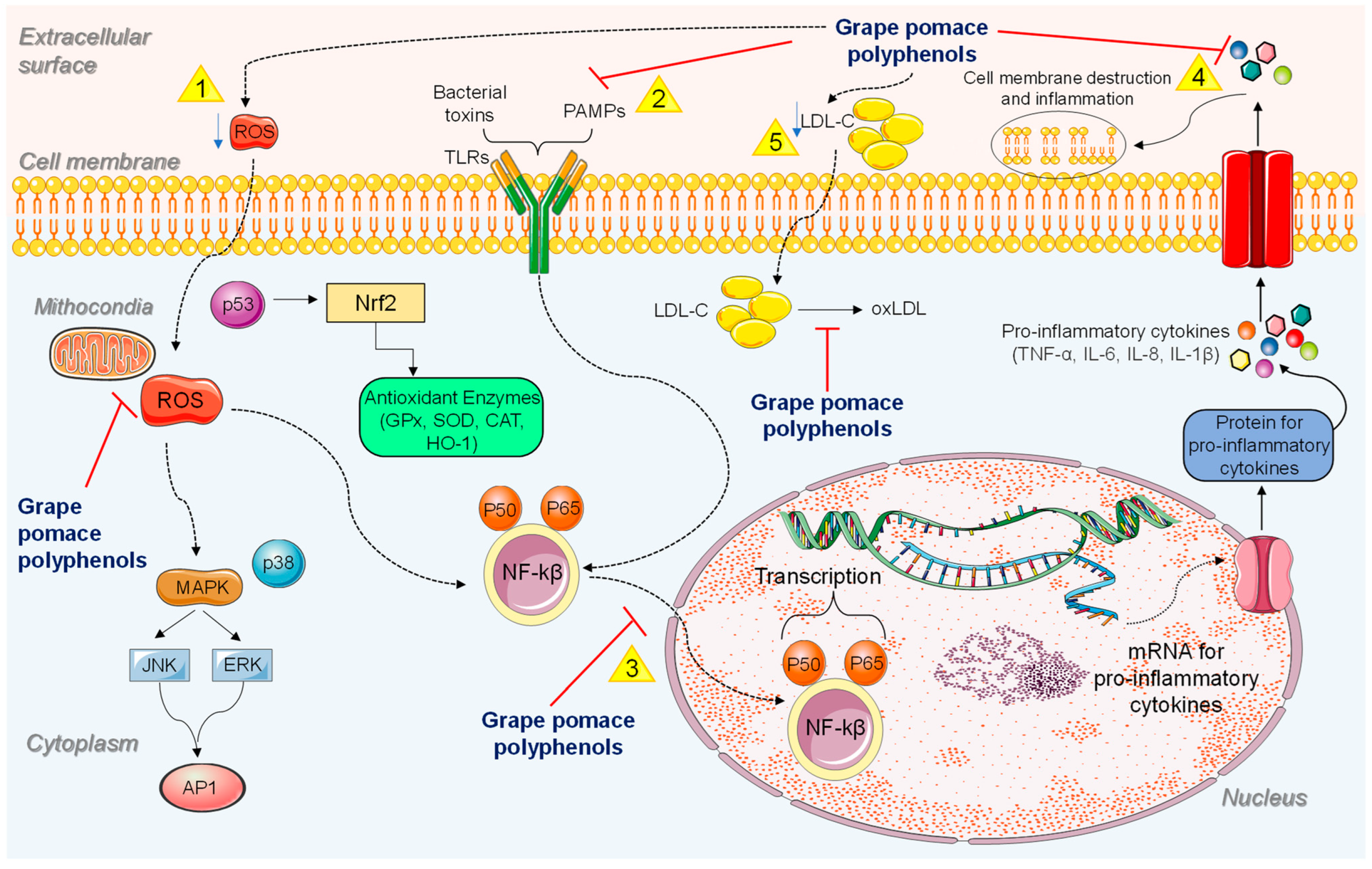Sustainability 15 09075 g003 Sustainability 15 09075 g003