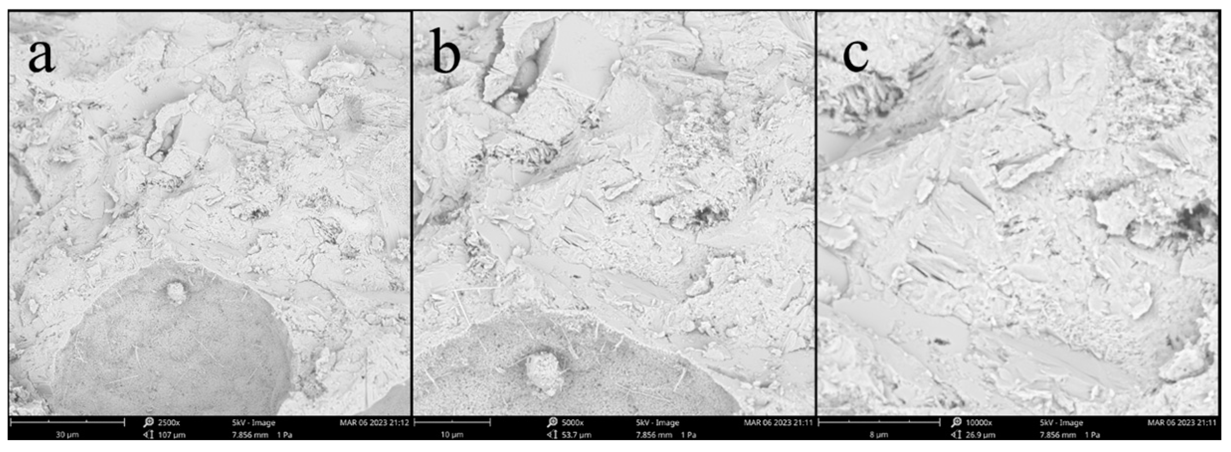 Sustainability 15 09134 g008