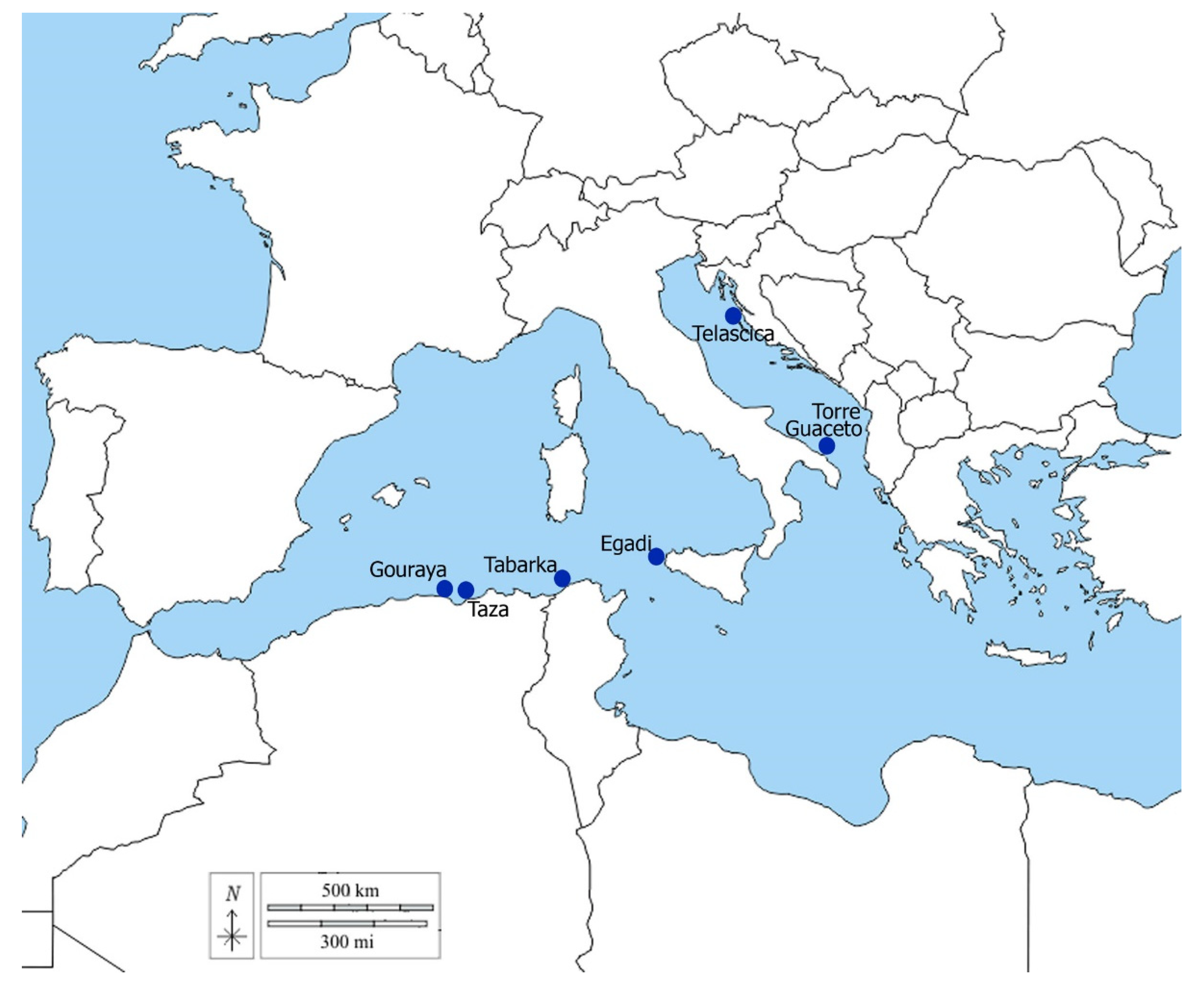Sustainability 15 09138 g001