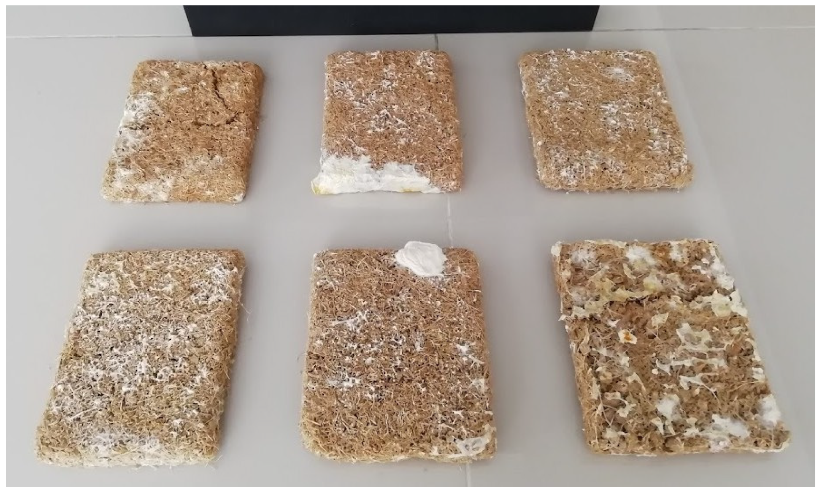 Sustainability 15 09157 g001