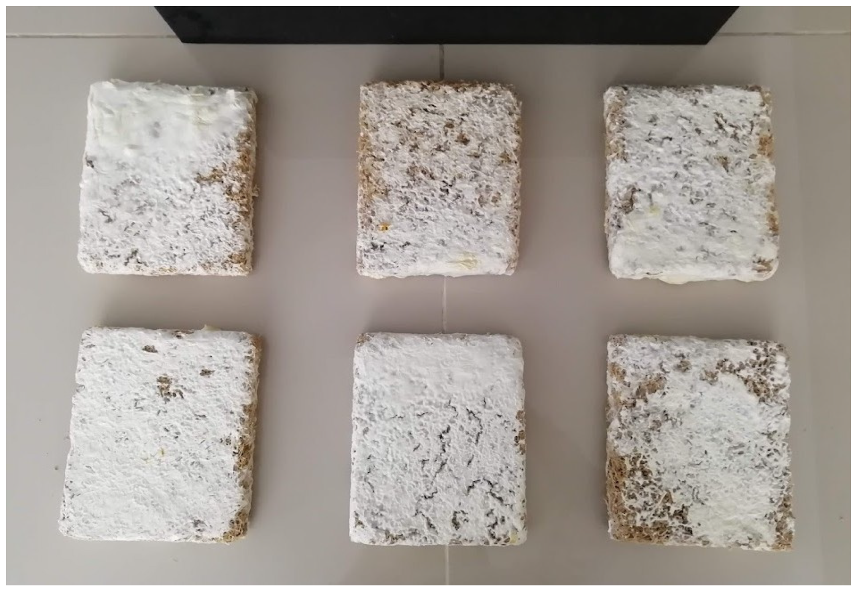 Sustainability 15 09157 g002