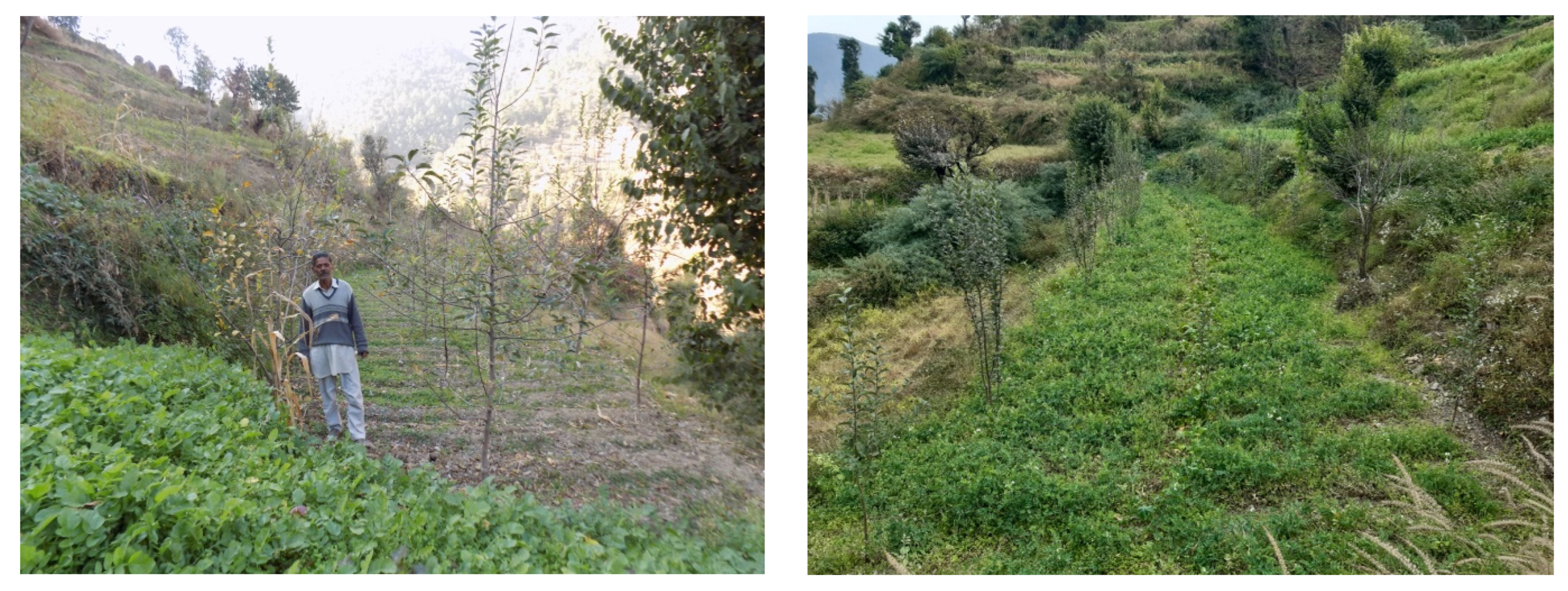 Sustainability 15 09230 g003