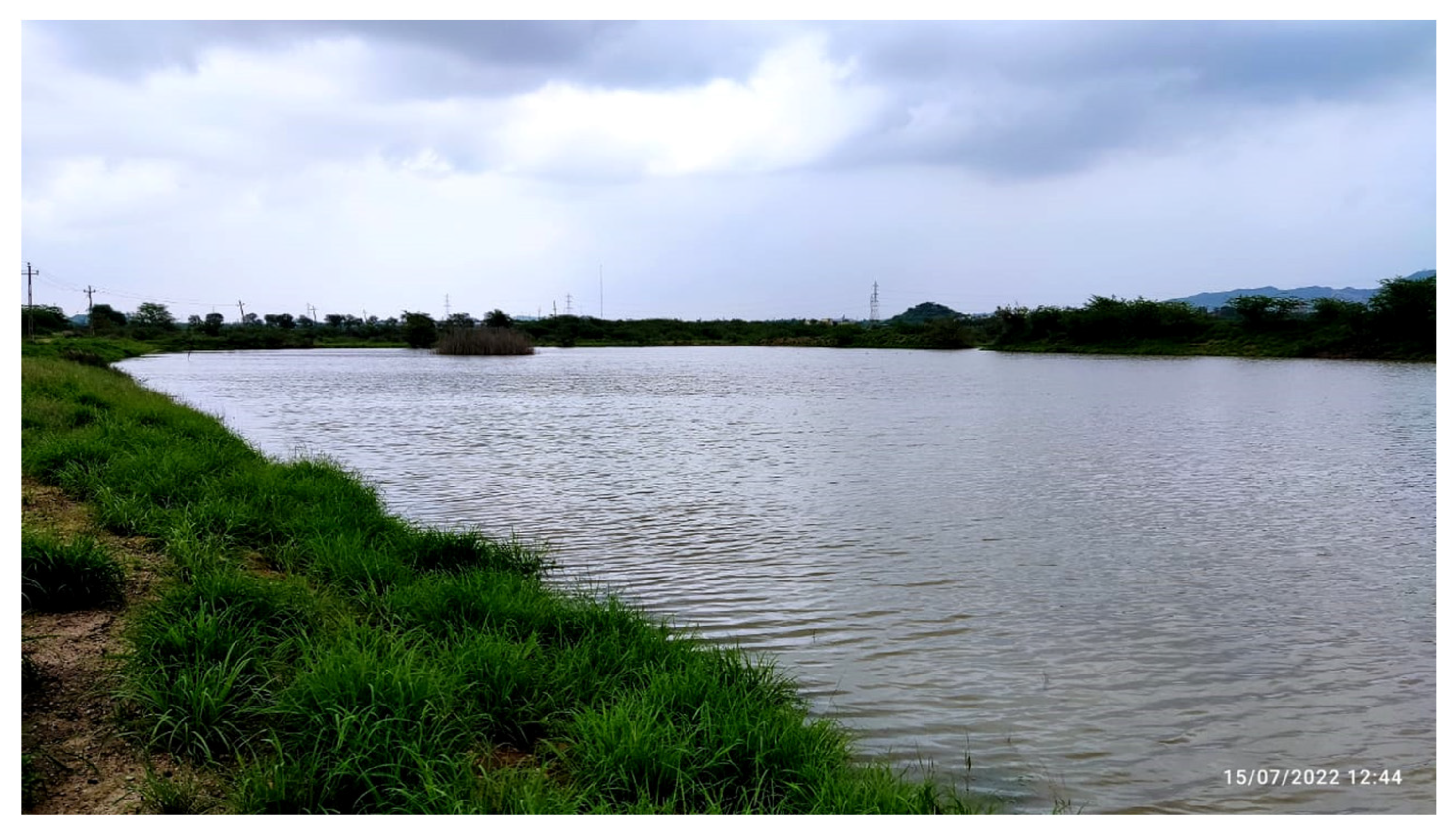 Sustainability 15 09230 g005