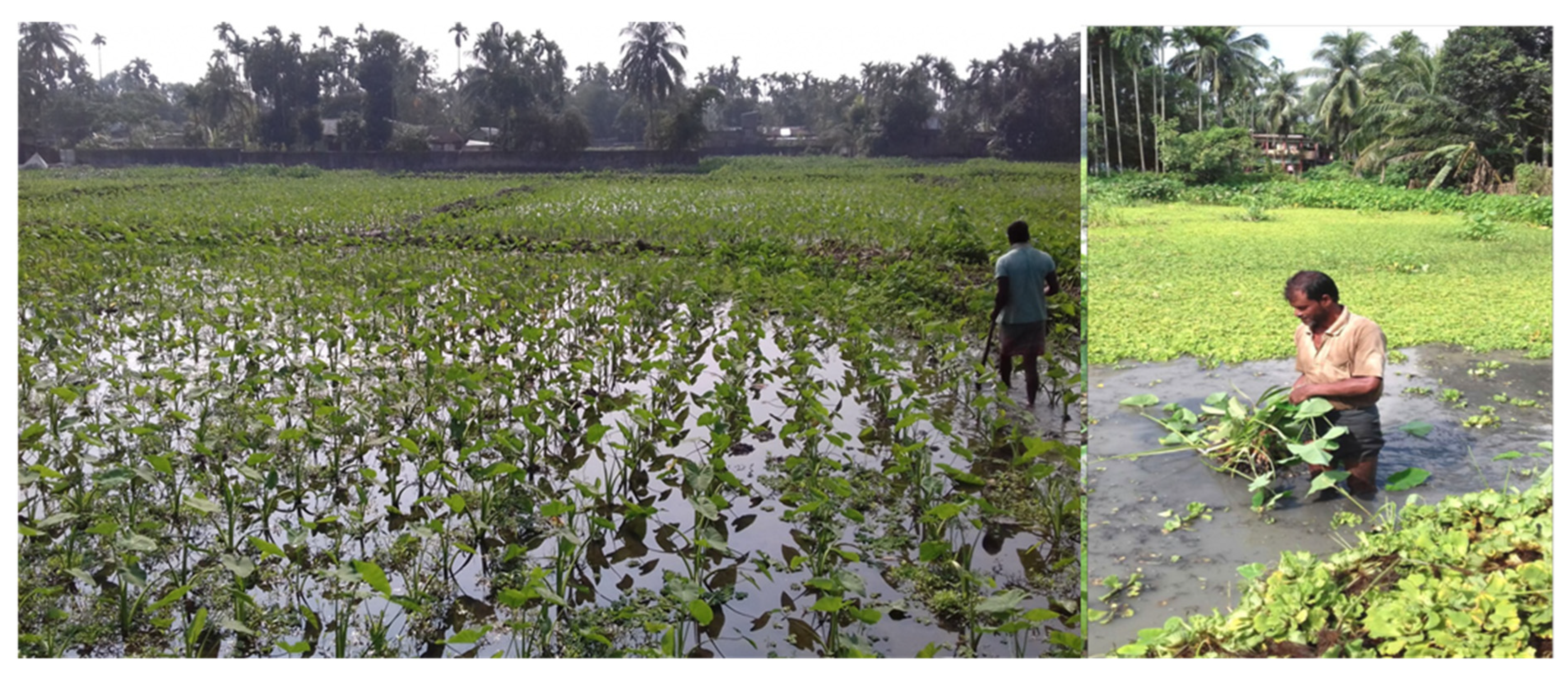 Sustainability 15 09230 g008