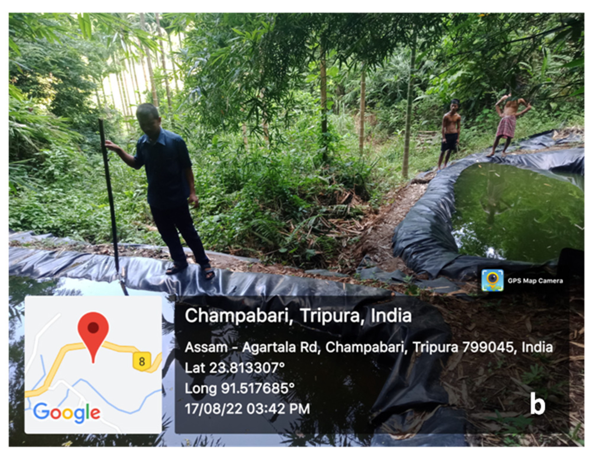 Sustainability 15 09230 g010