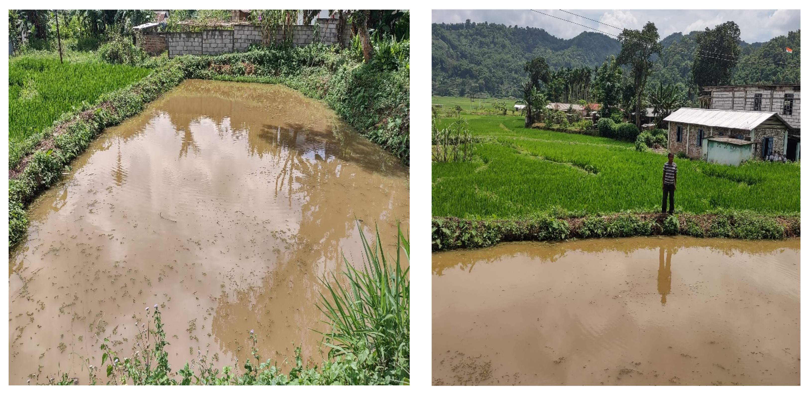 Sustainability 15 09230 g012