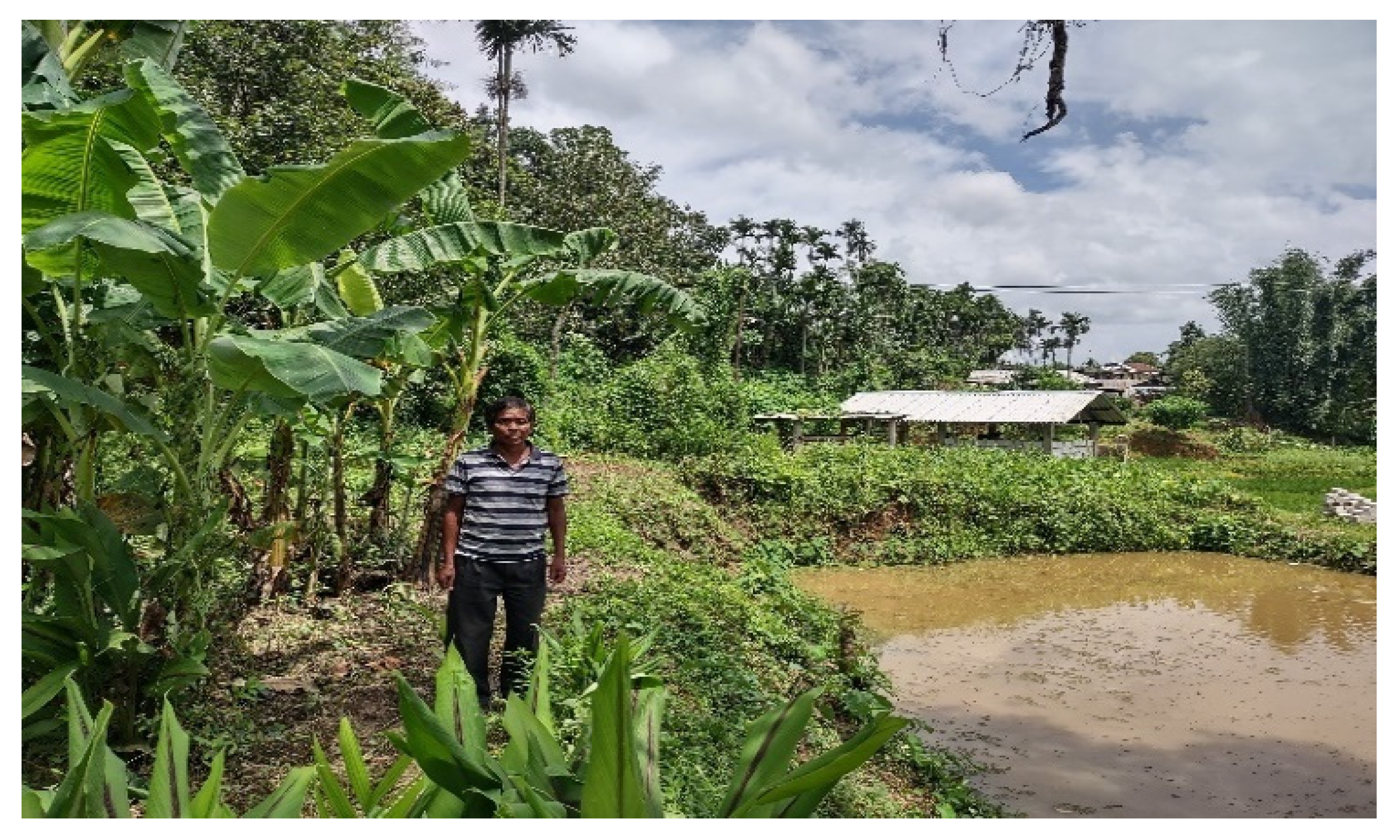 Sustainability 15 09230 g013