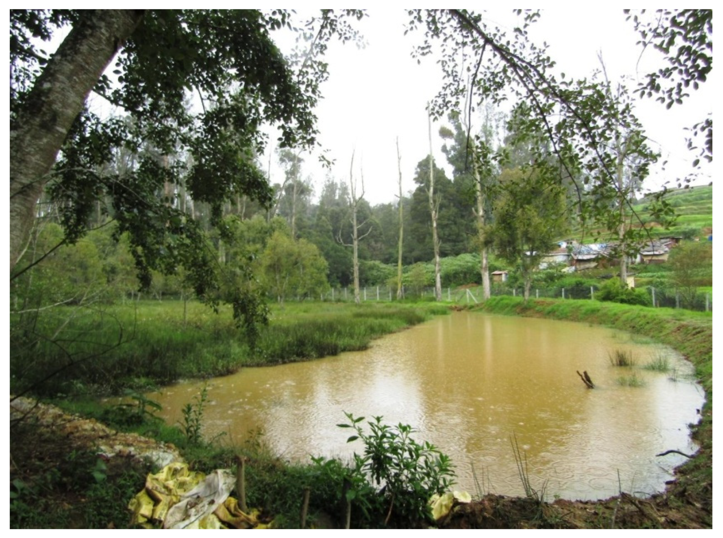 Sustainability 15 09230 g014