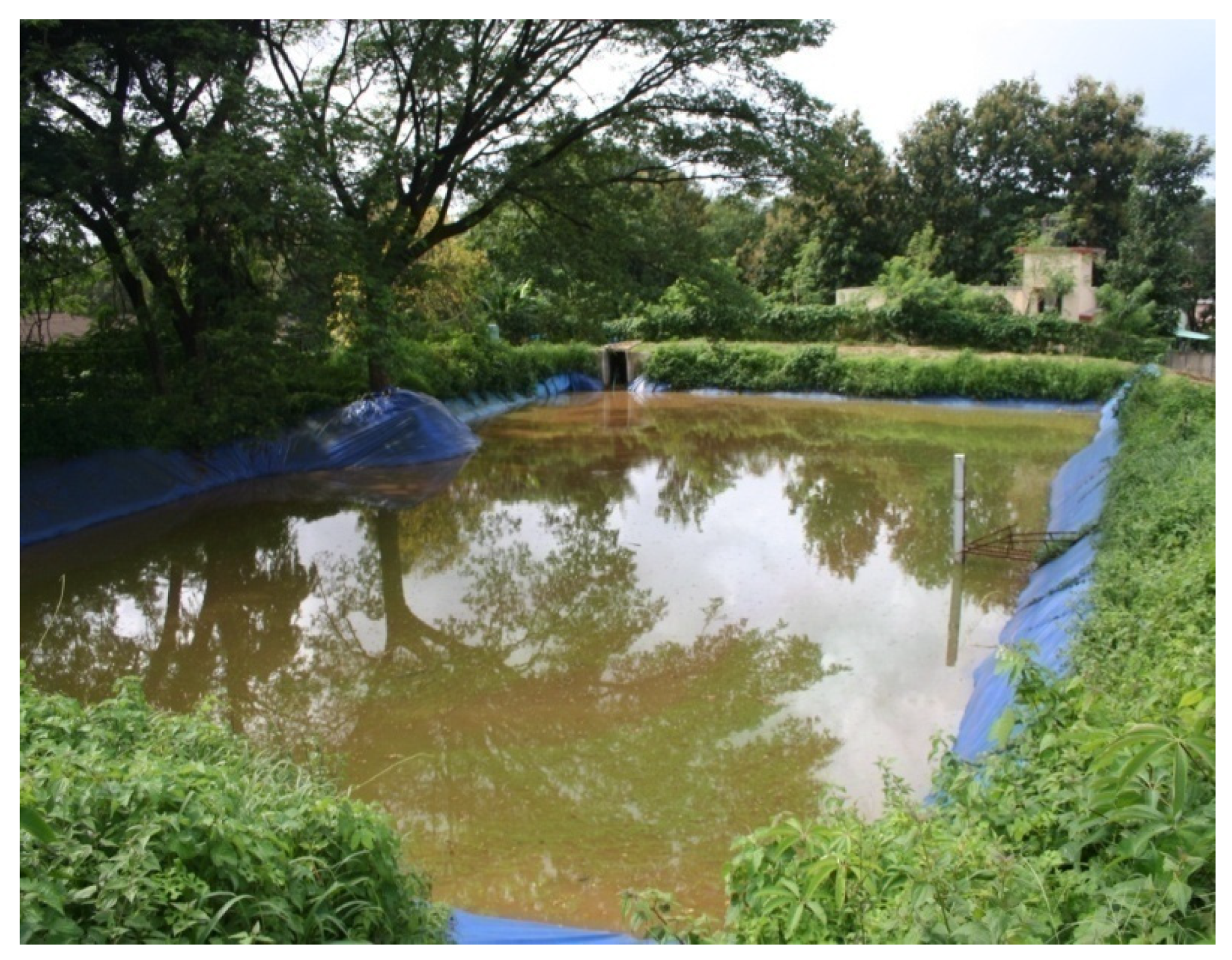 Sustainability 15 09230 g015