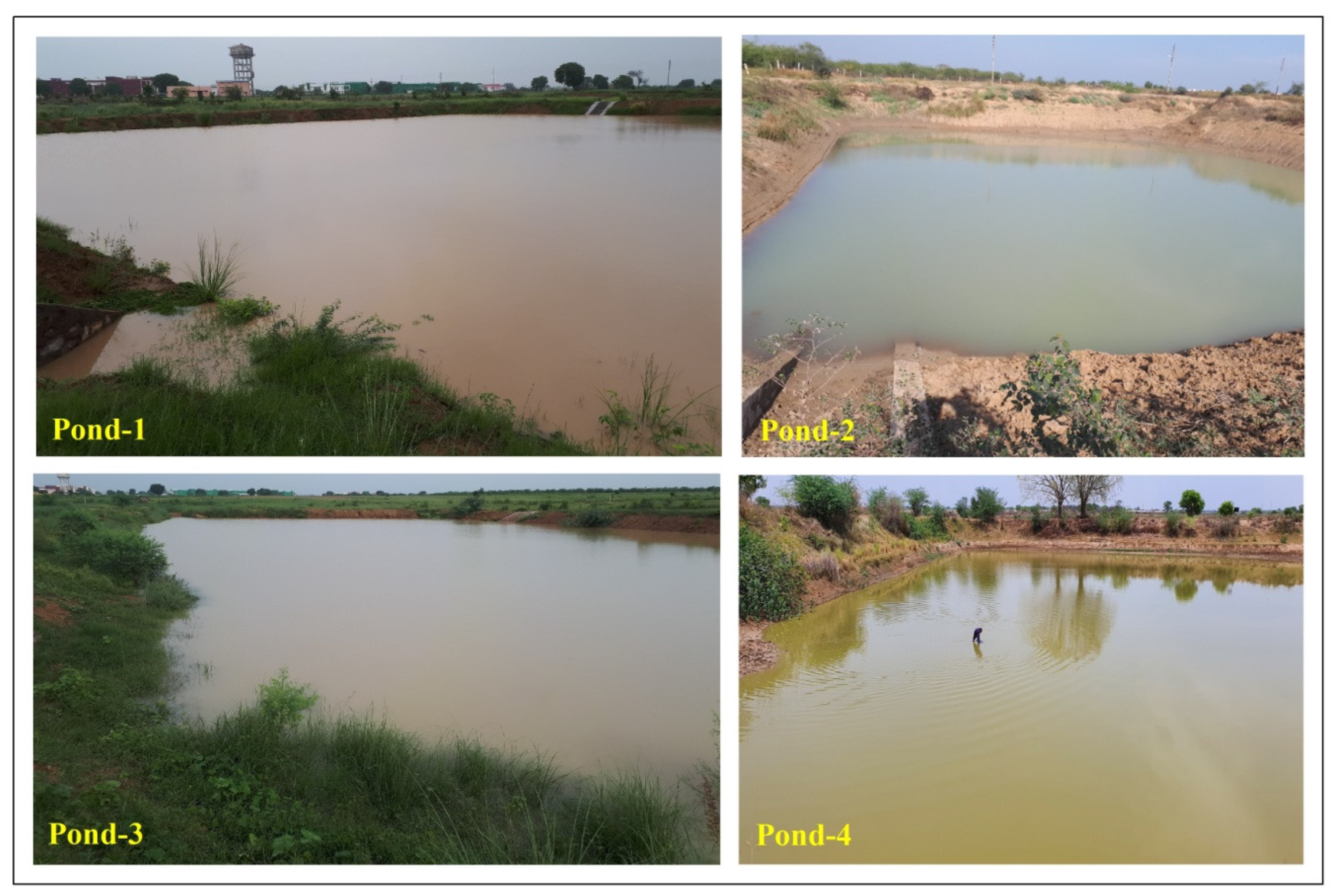 Sustainability 15 09230 g016