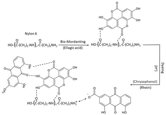 Sustainability 15 09232 sch002