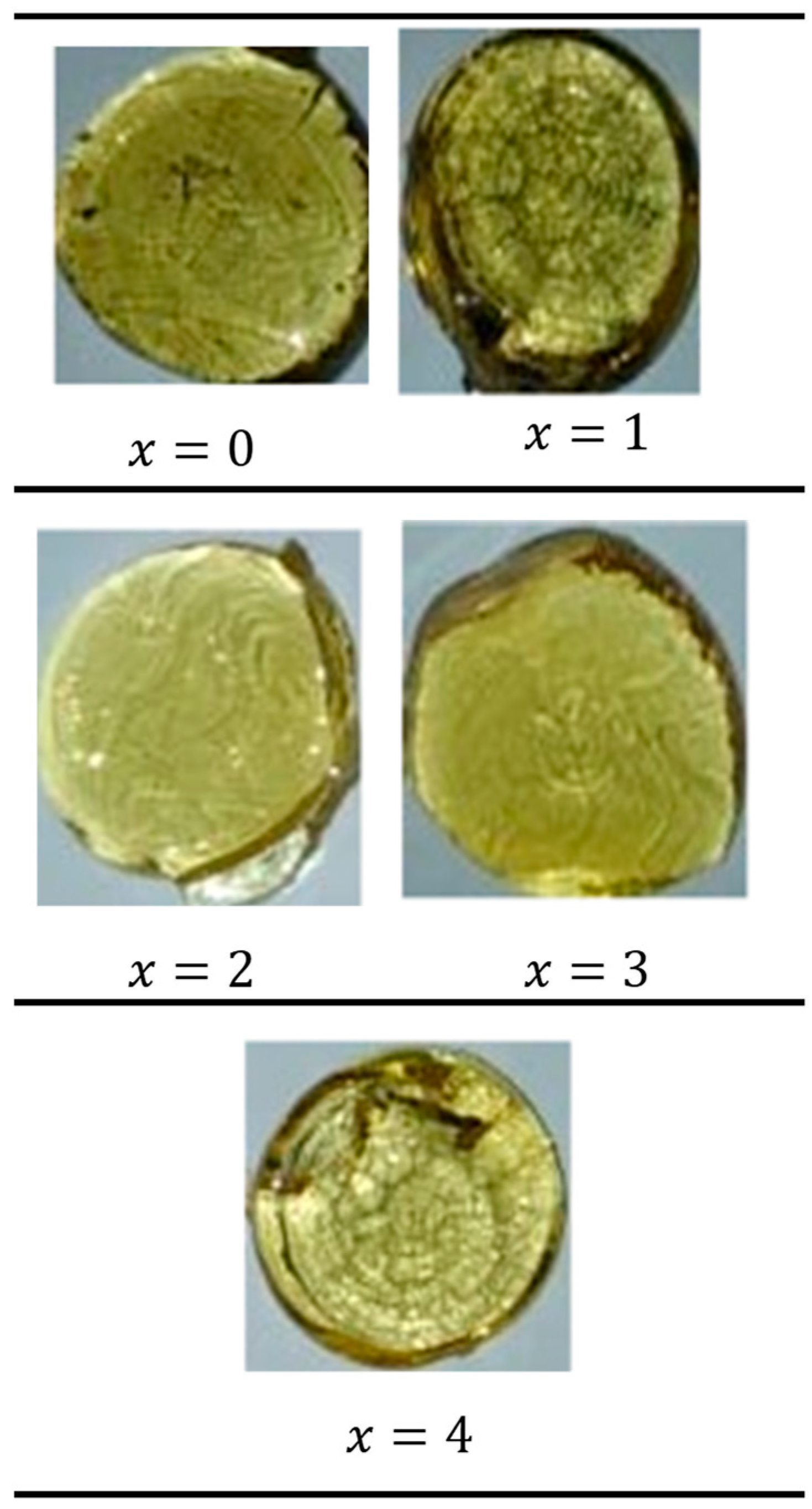 Sustainability 15 09245 g001