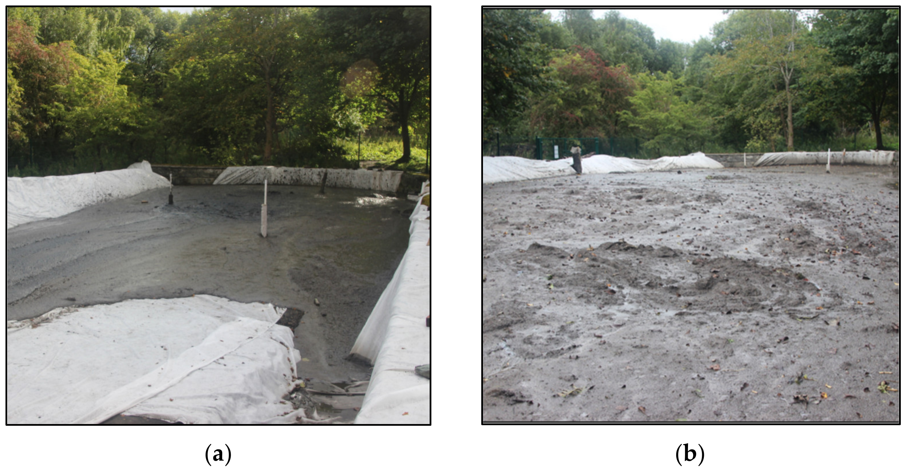 Sustainability 15 09261 g005 Sustainability 15 09261 g005