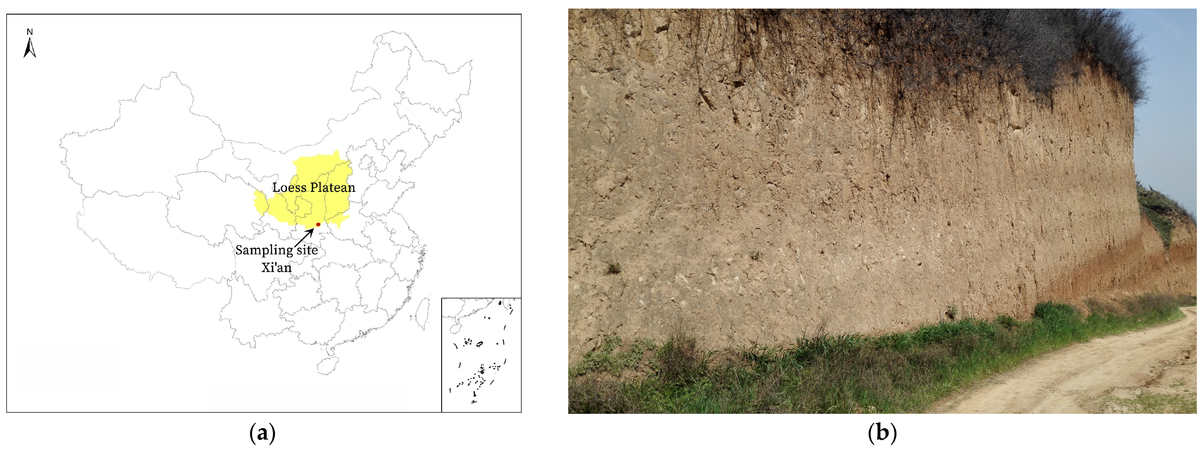 Sustainability 15 09280 g003