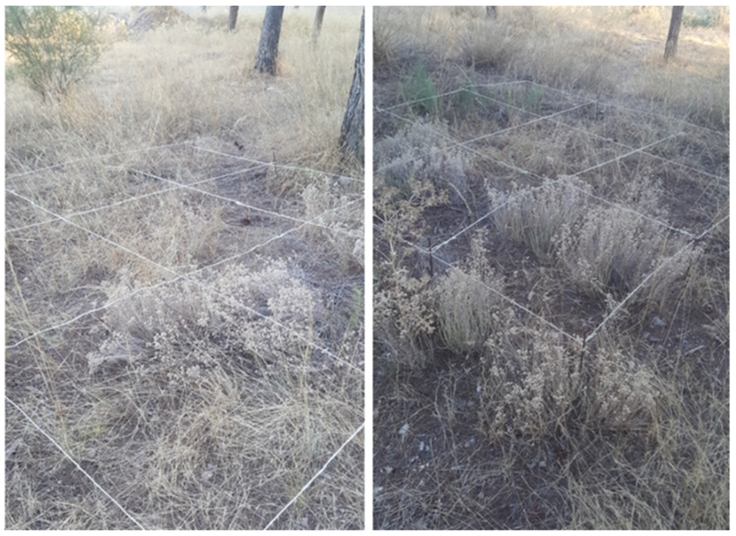 Sustainability 15 09322 g005 Sustainability 15 09322 g005