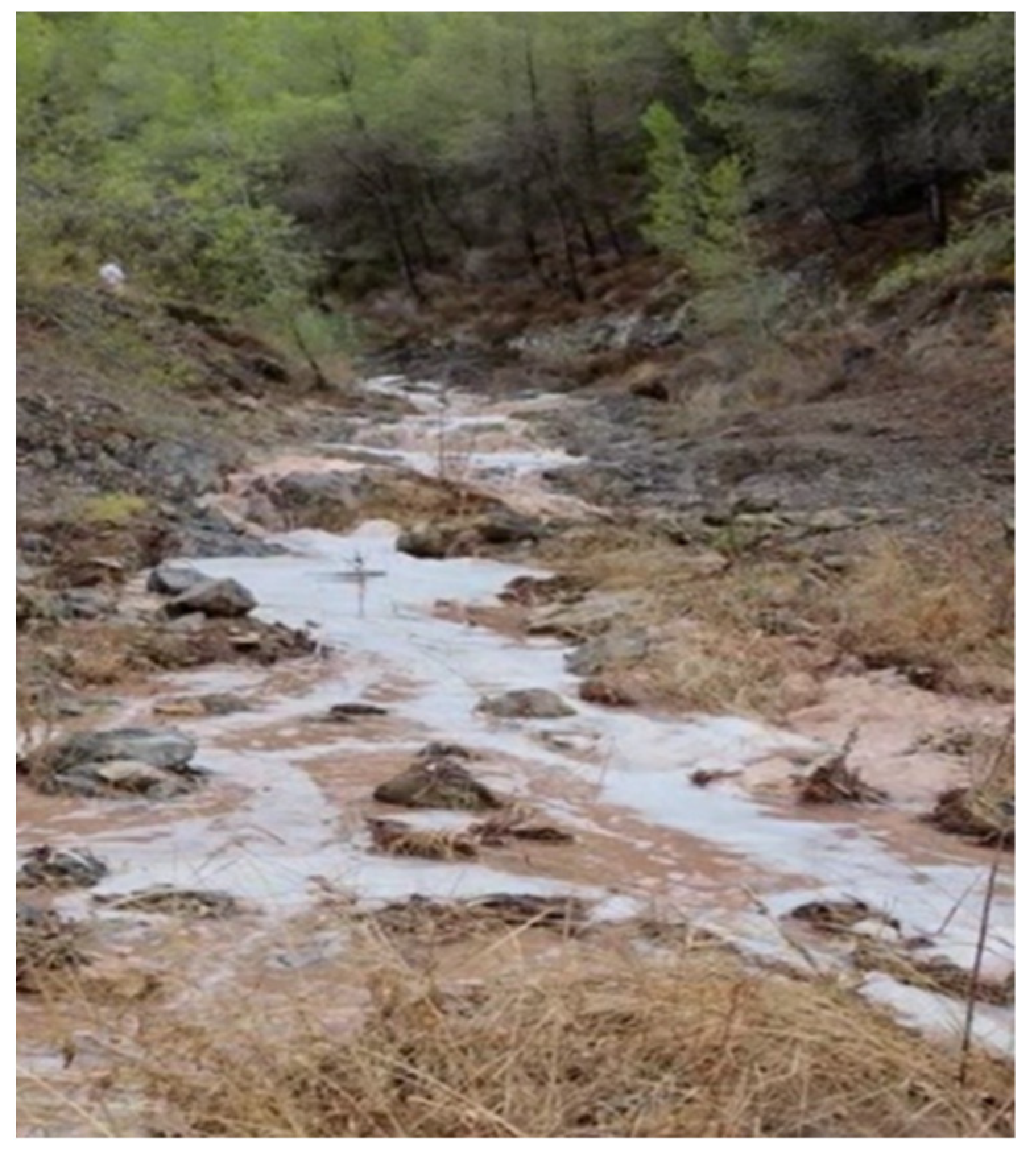 Sustainability 15 09322 g010 Sustainability 15 09322 g010