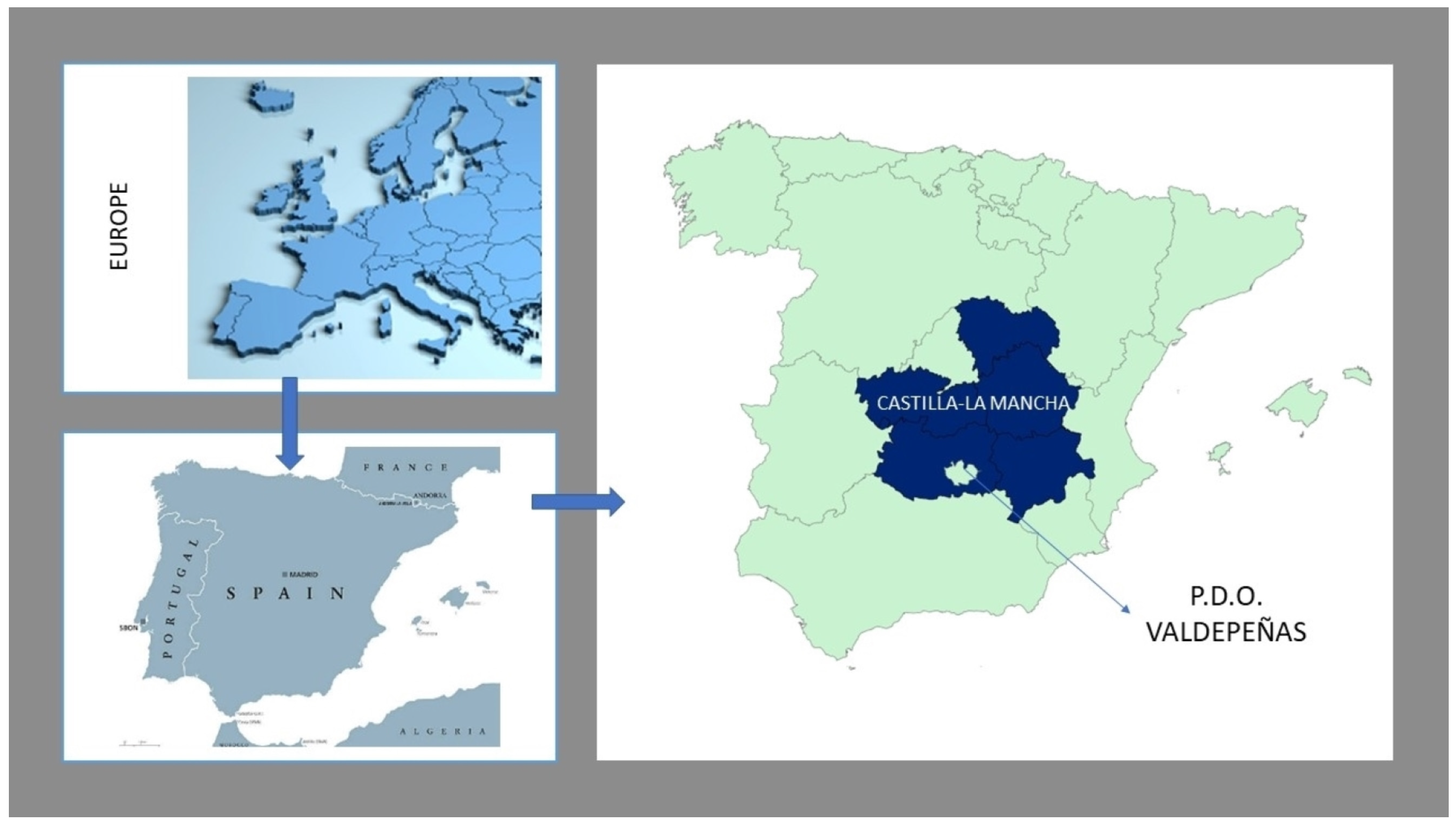 Sustainability 15 09339 g001