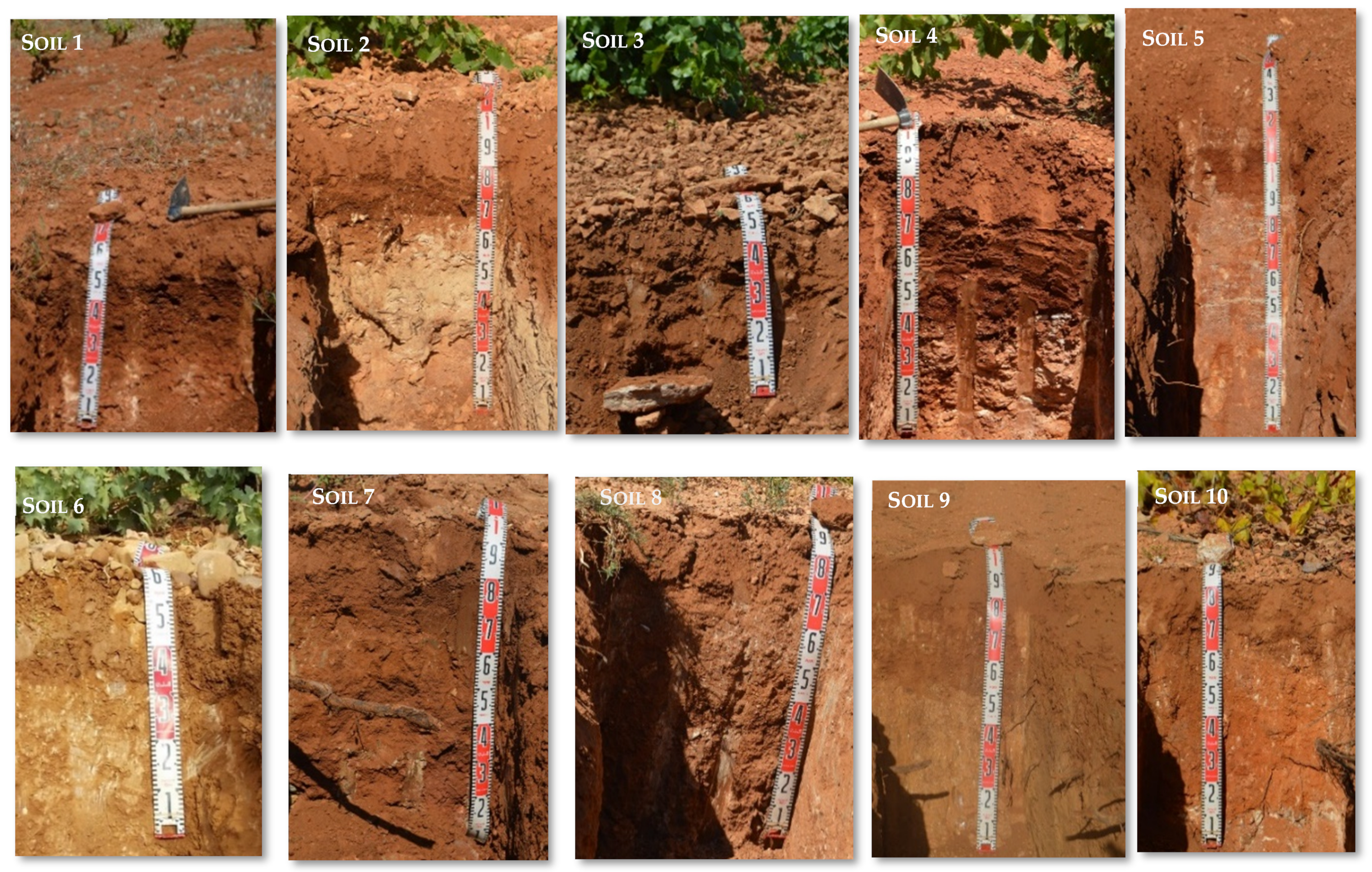 Sustainability 15 09339 g003