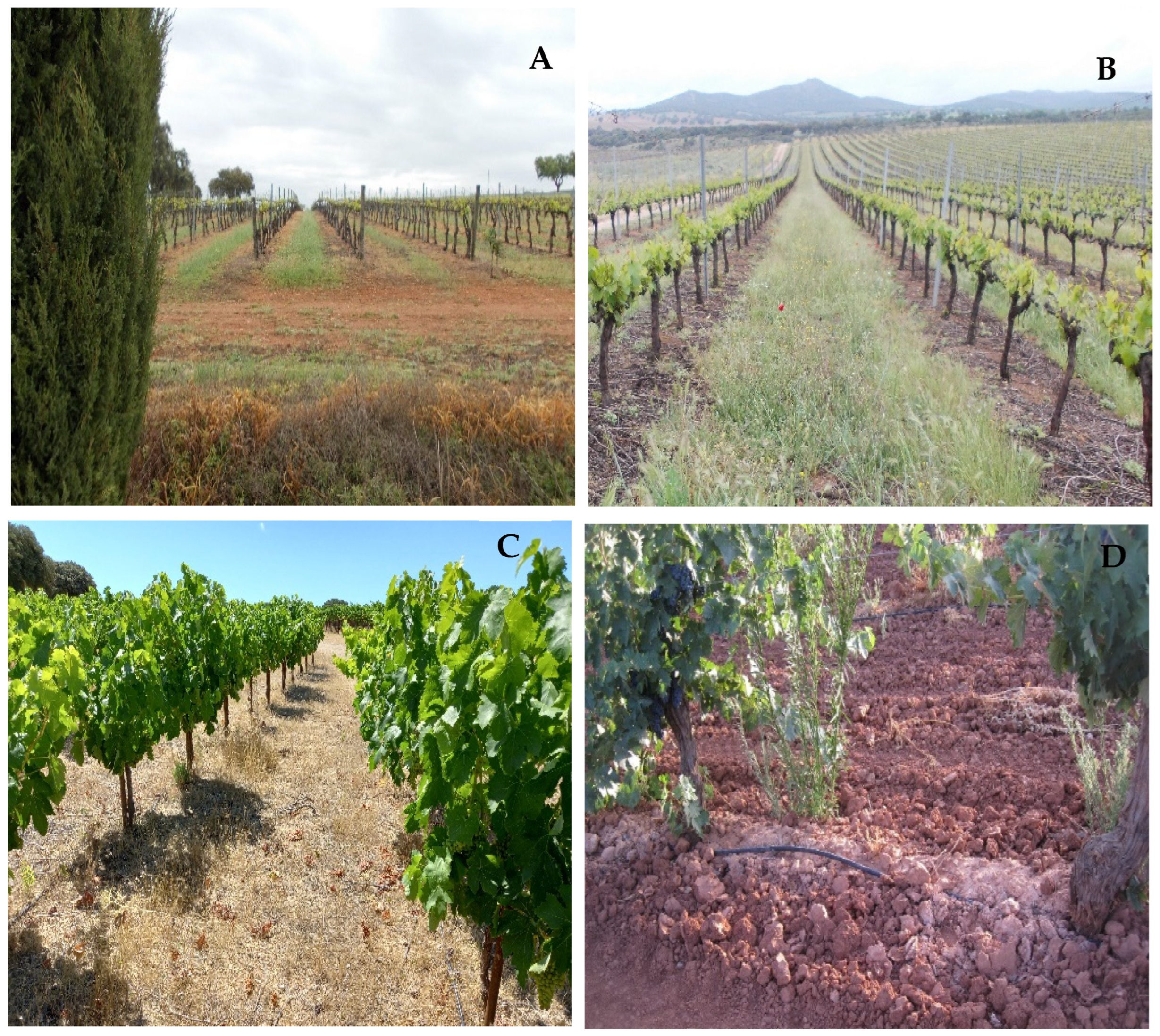 Sustainability 15 09339 g004a