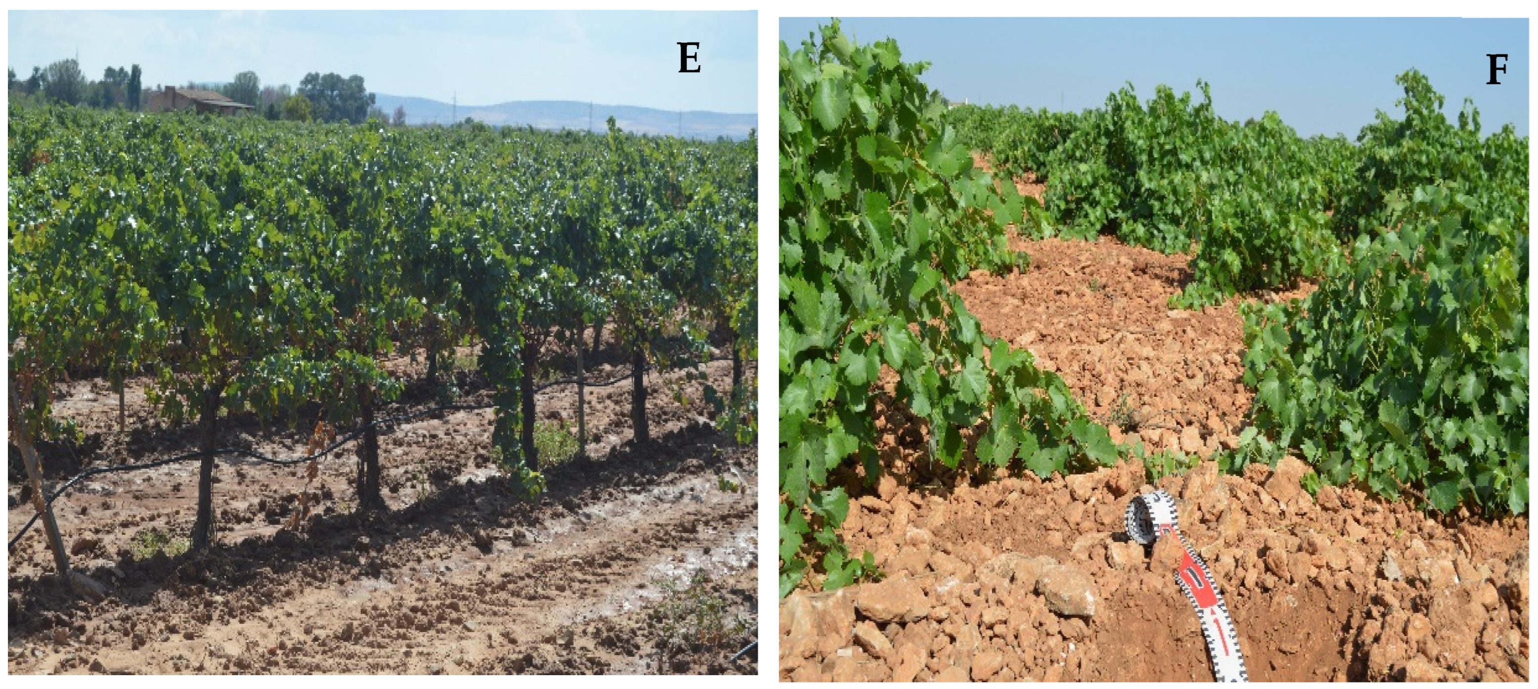 Sustainability 15 09339 g004b